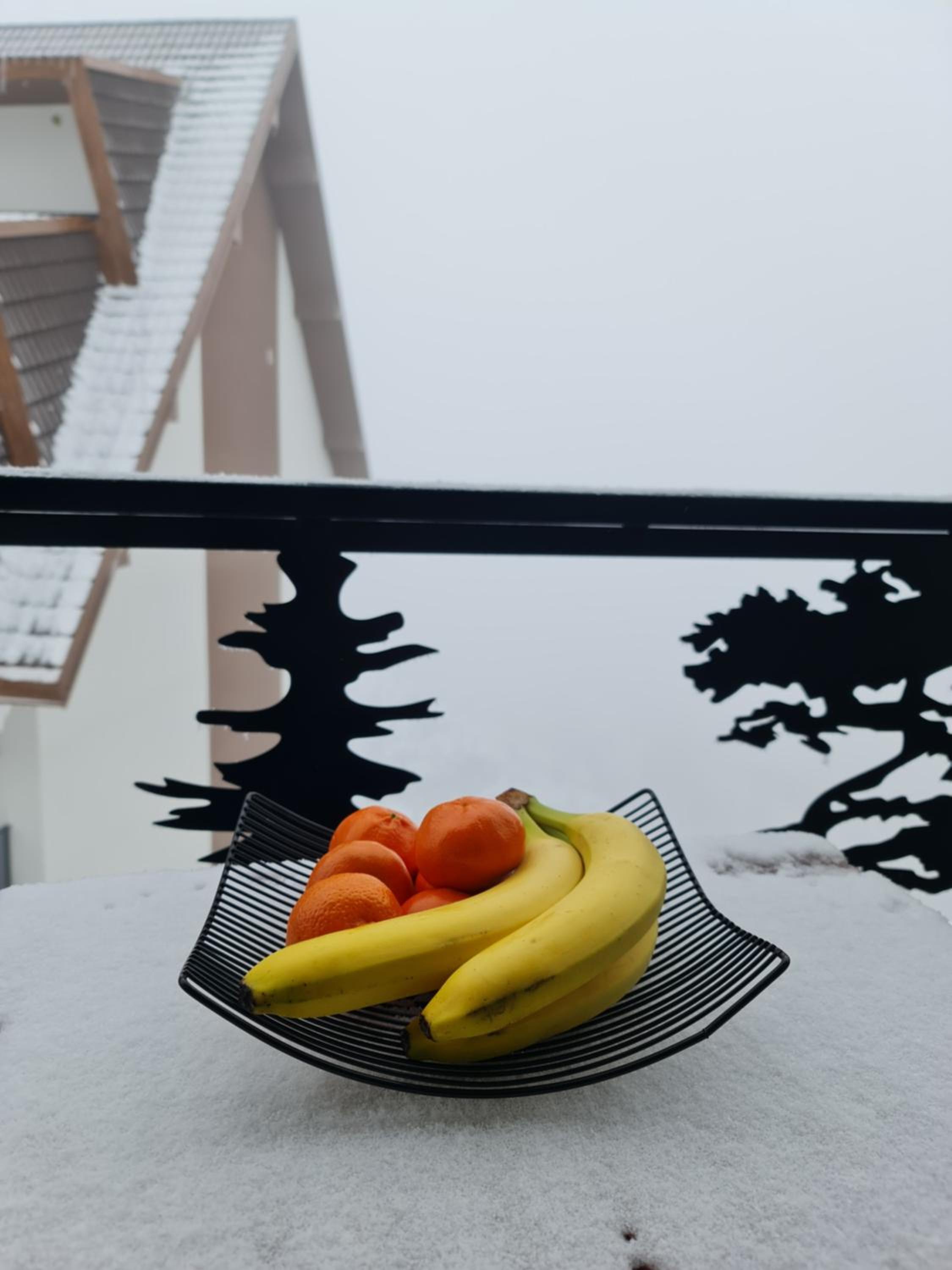 SkyKop Apartmani view 4