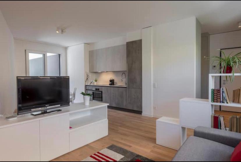 5 Rent Apartments Lugano Station view 3