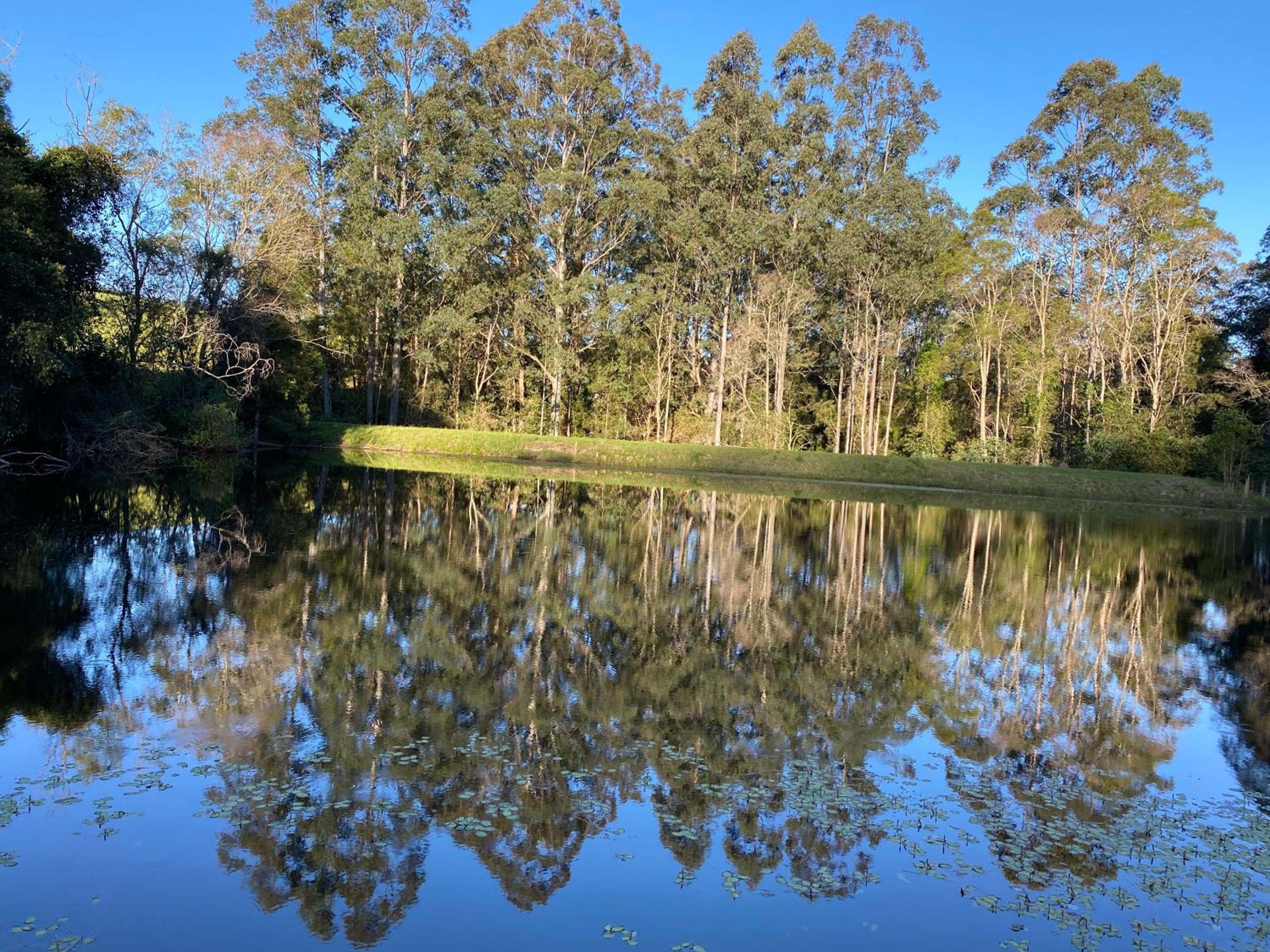 Amble Lea NSW Country escape