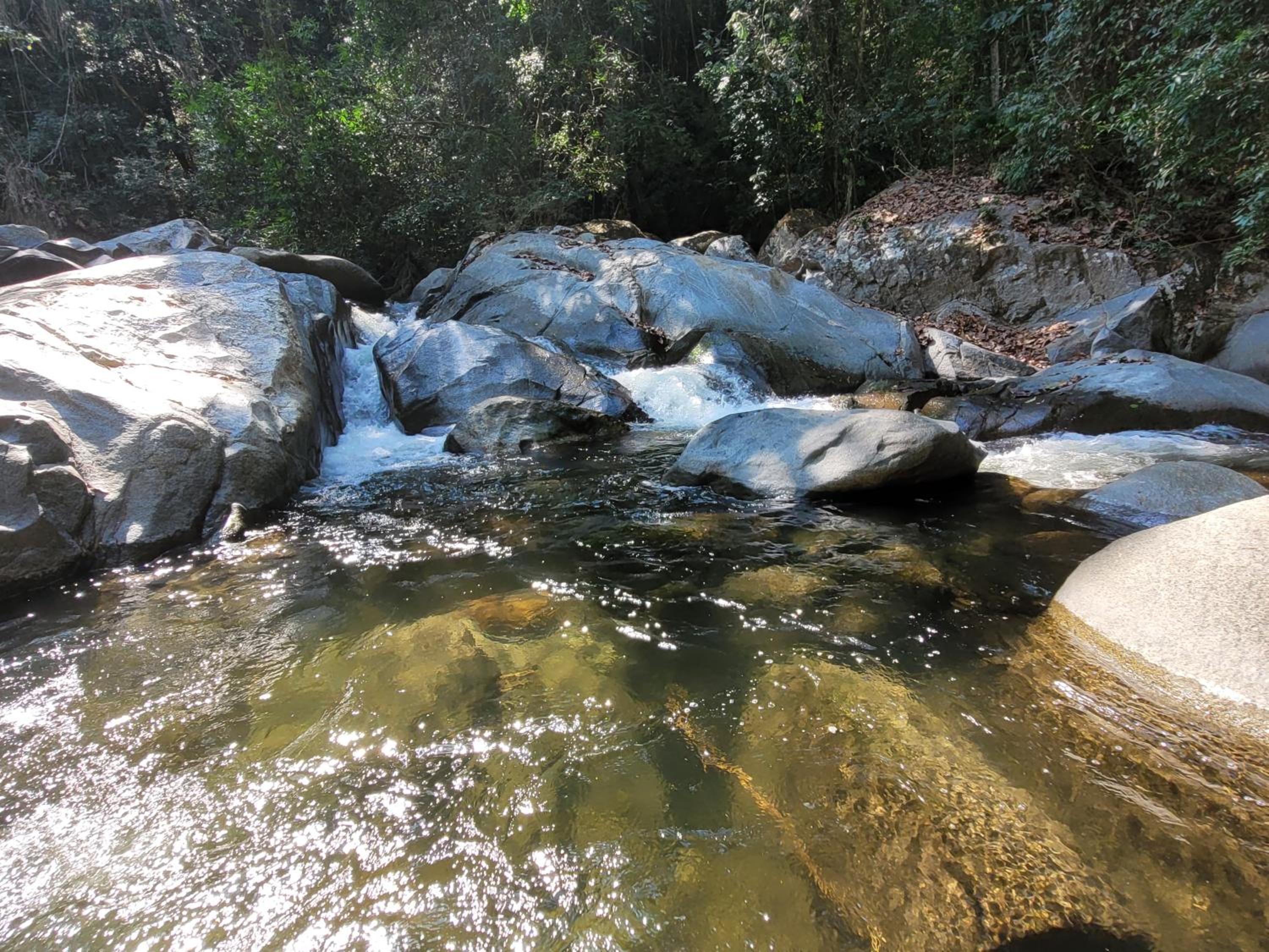 Sierra Jungla