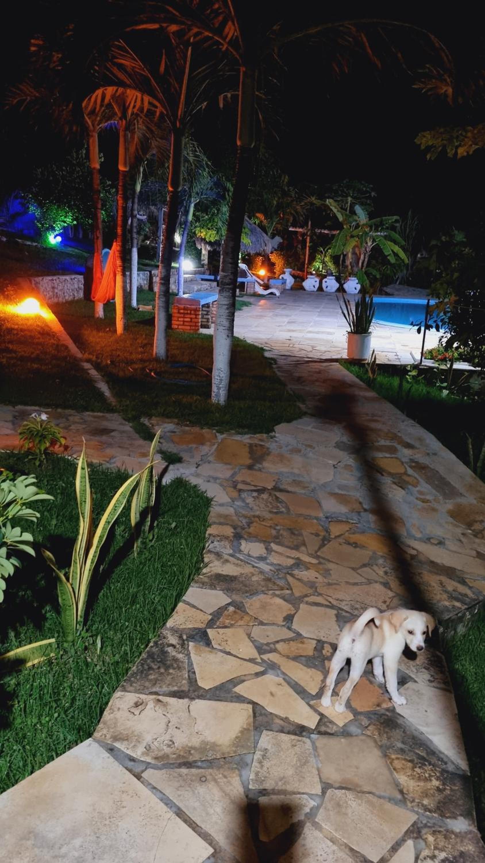 Casa no Residencia Familia