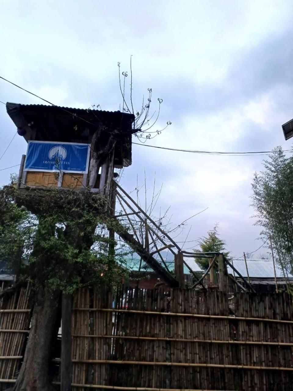 Photo 40