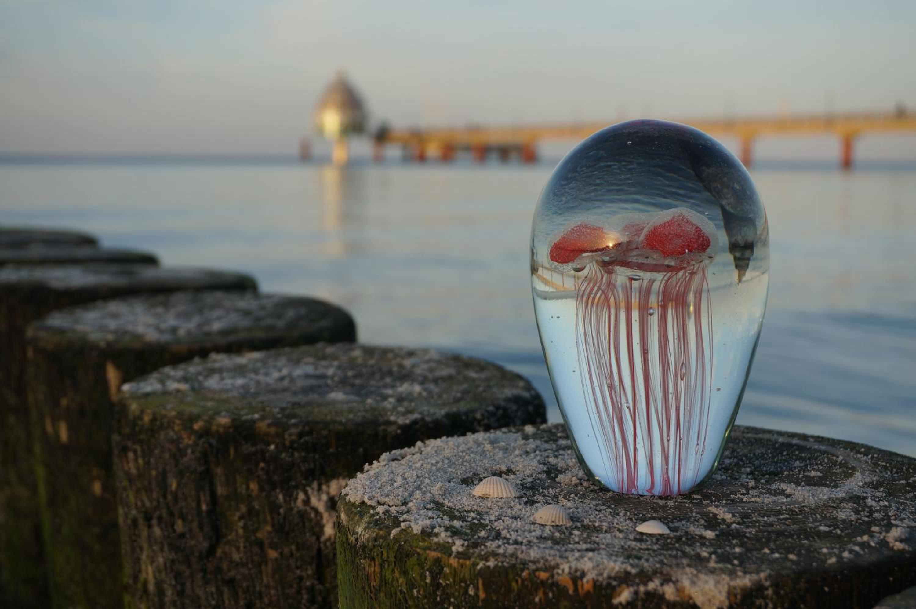 Hotel Garni Inselparadies Zingst
