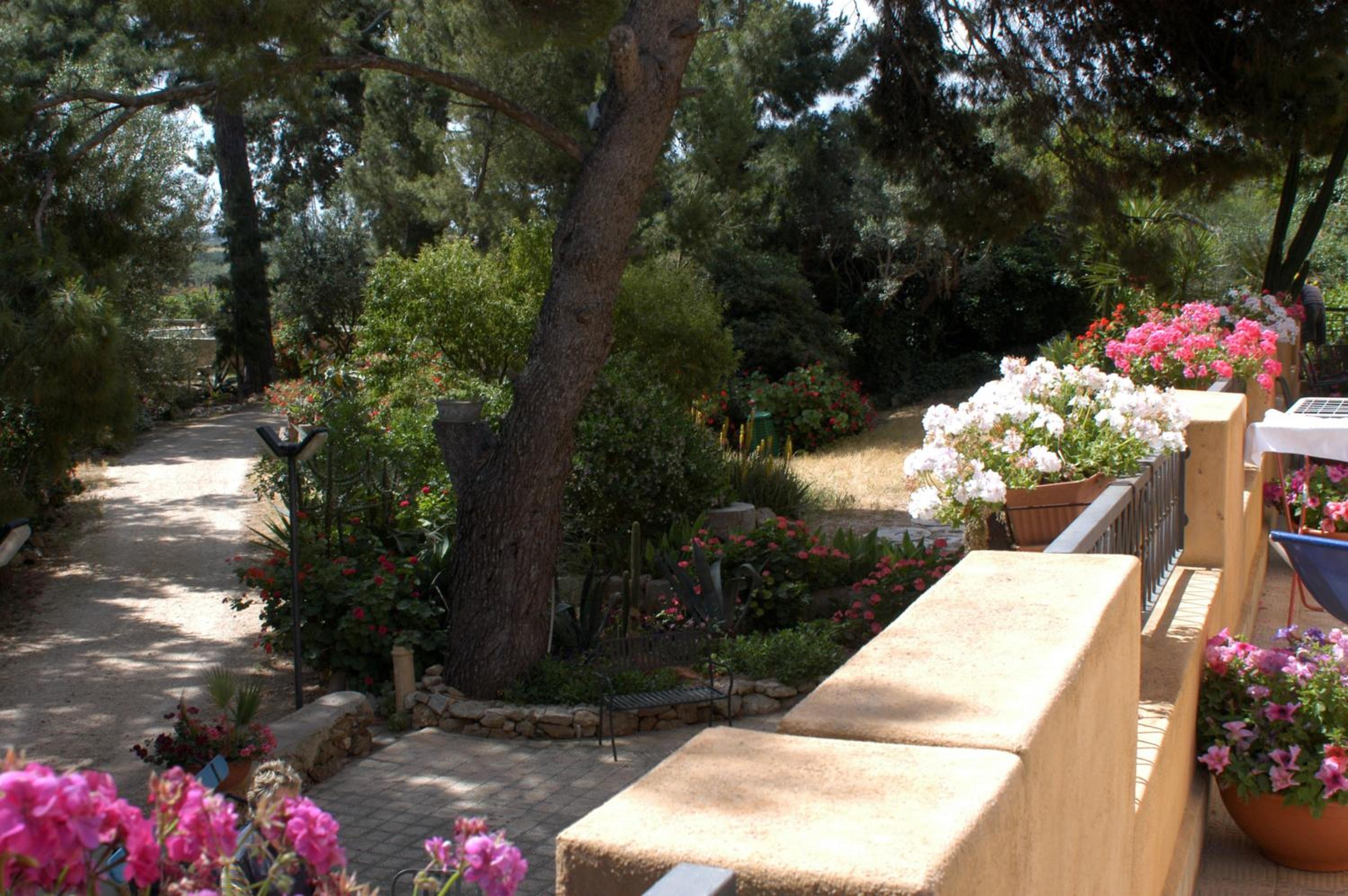 Photo 20