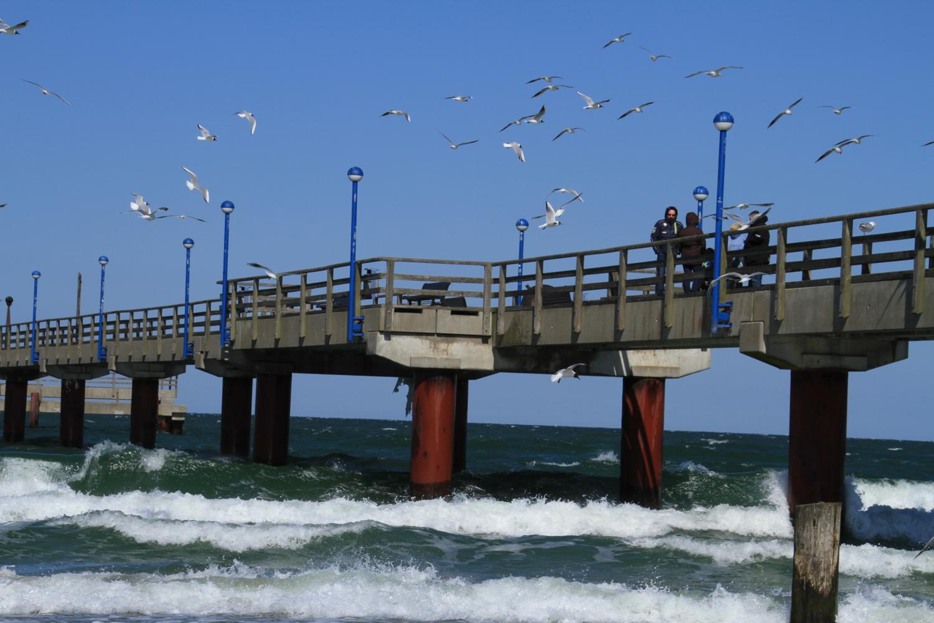 Hotel Garni Inselparadies Zingst