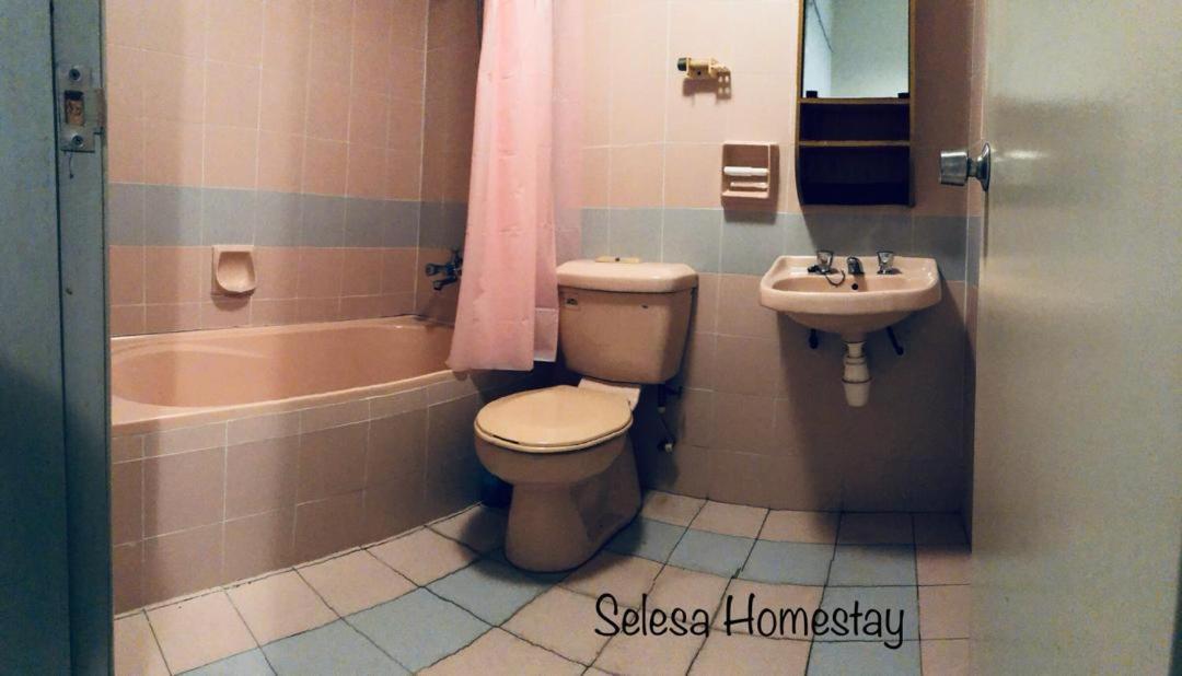 THE GREEN @SELESA HILLHOMES BUKIT TINGGI BENTONG photo 7
