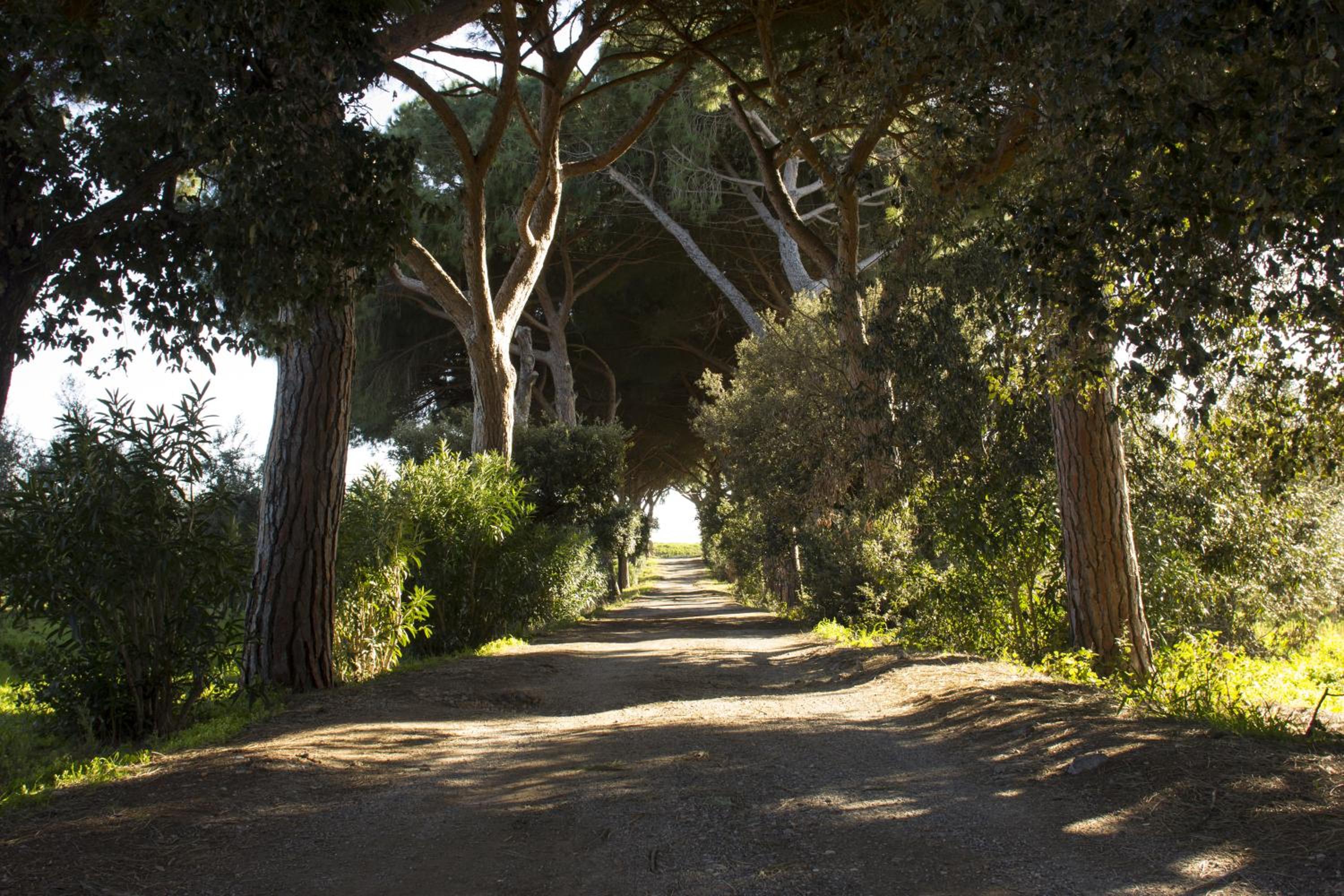 Agriturismo Monte Alzato view 2