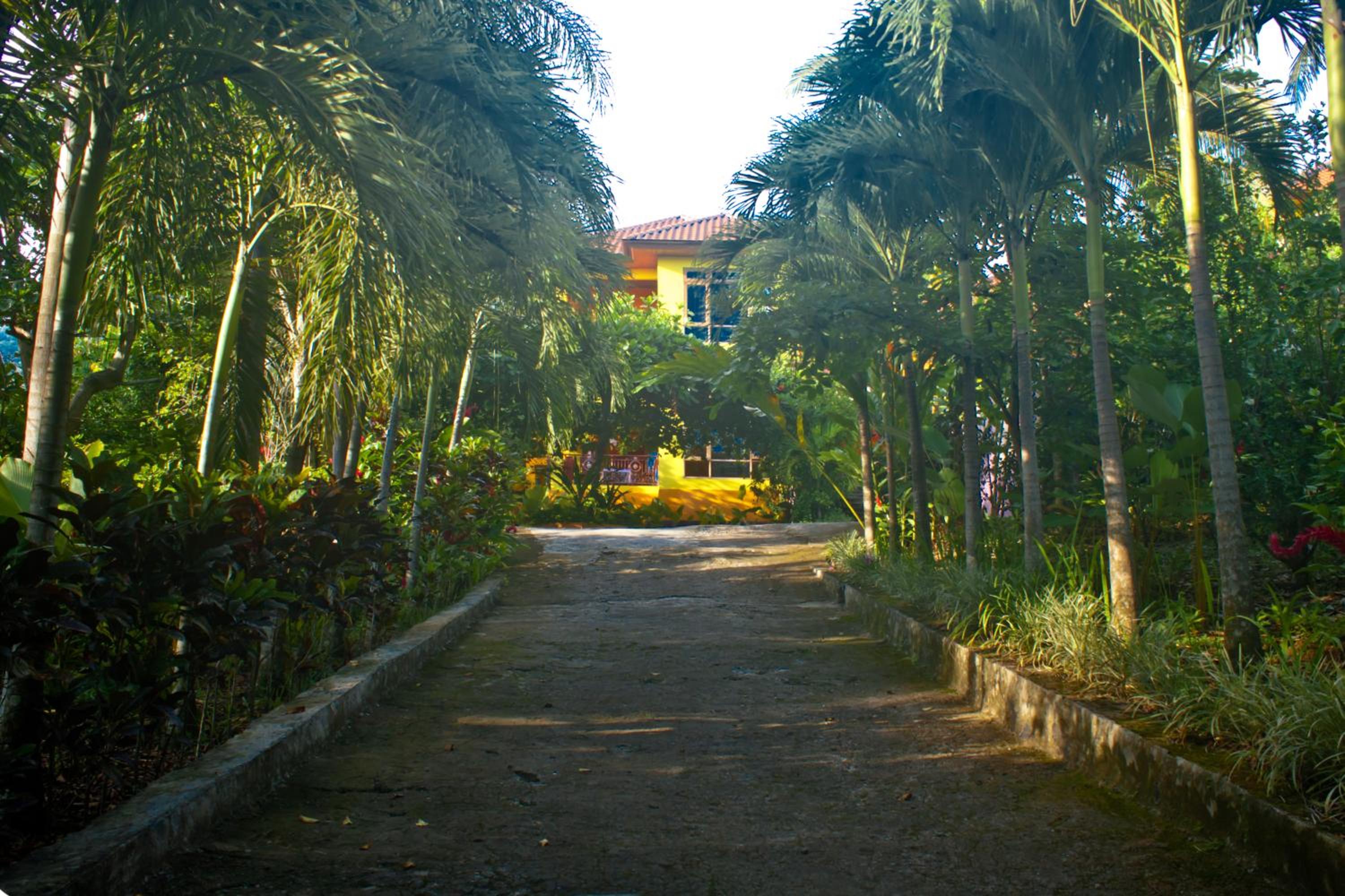 Photo 201