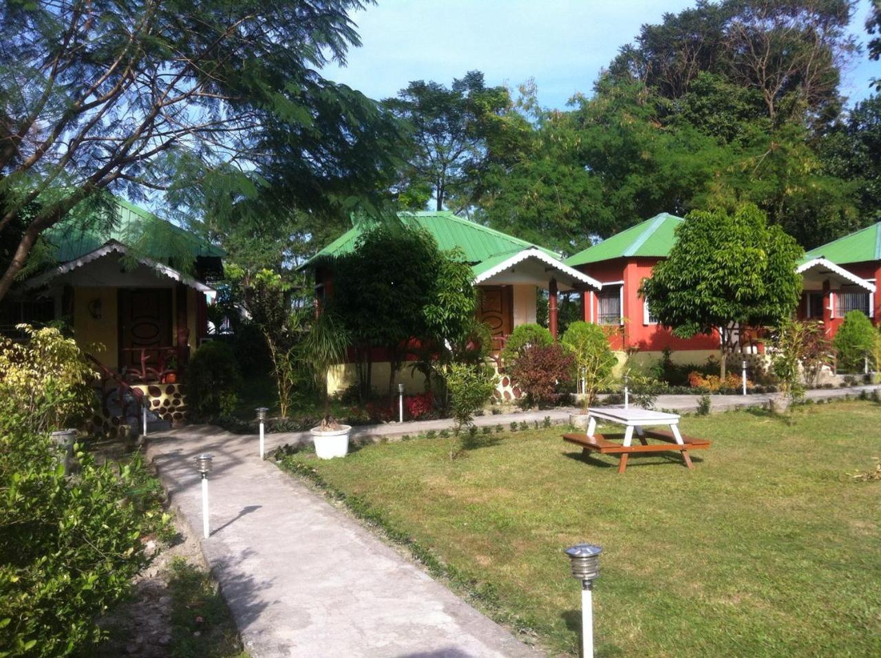 Photo 8