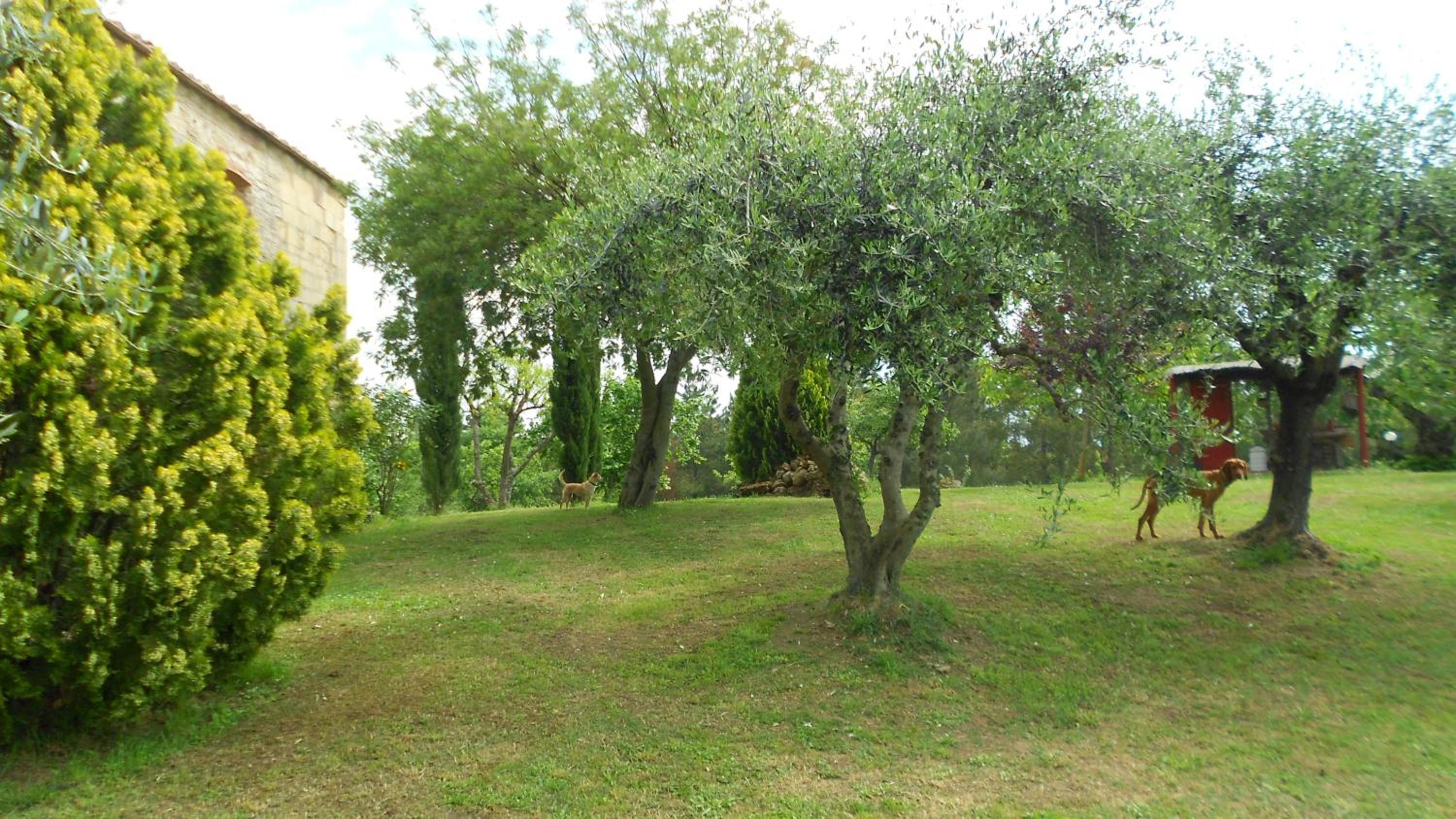 Photo 47