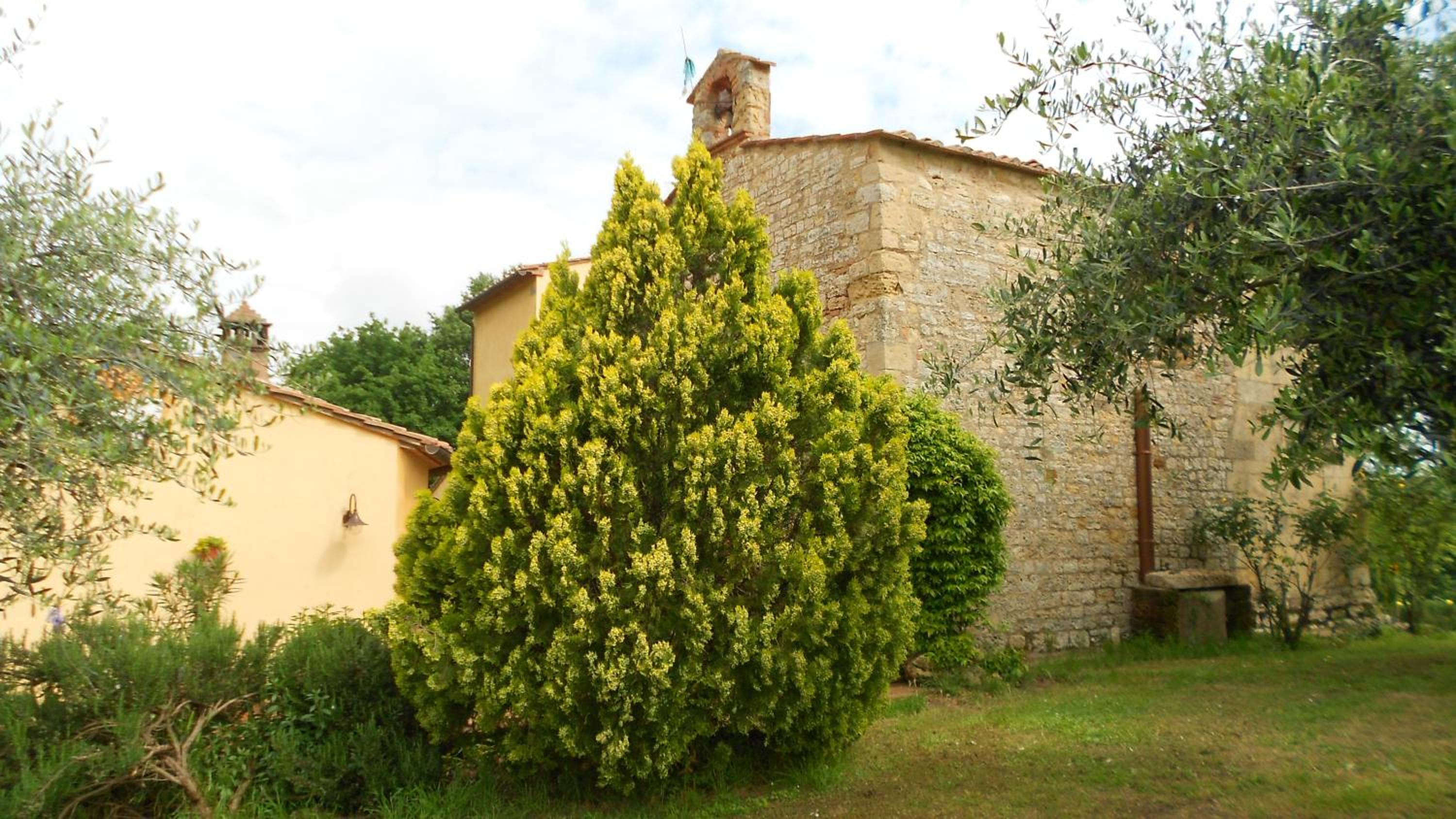 Photo 46