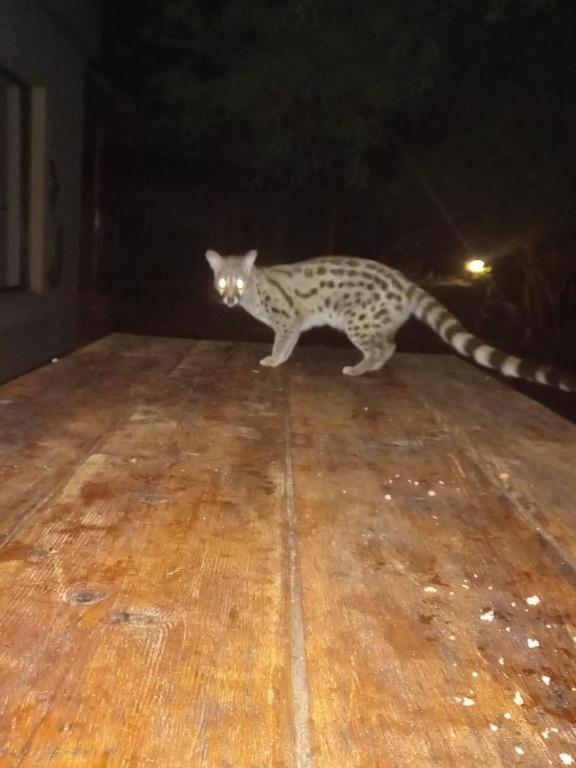 Turaco Lodge - No Loadshedding