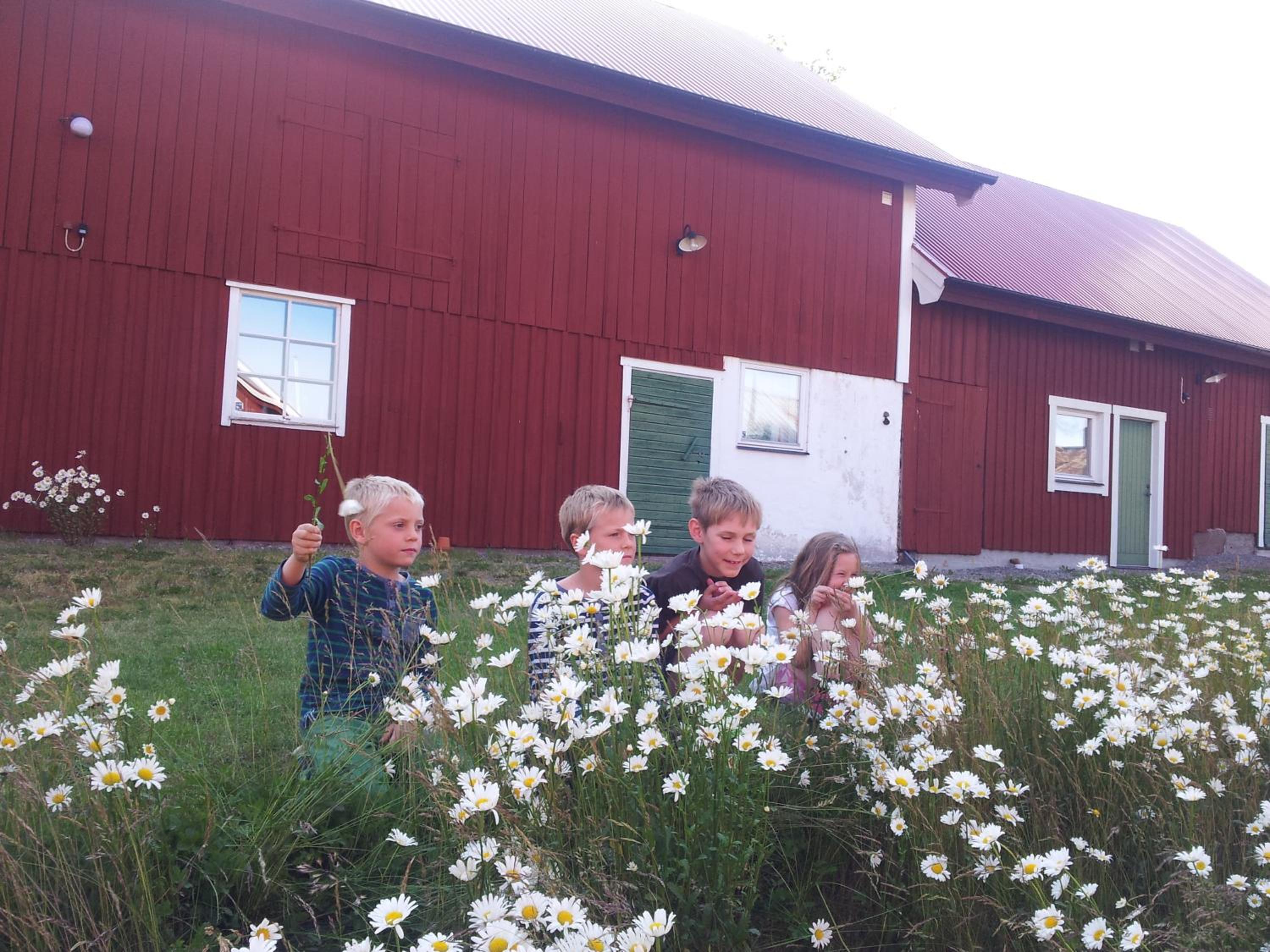 Brunnsta Gård