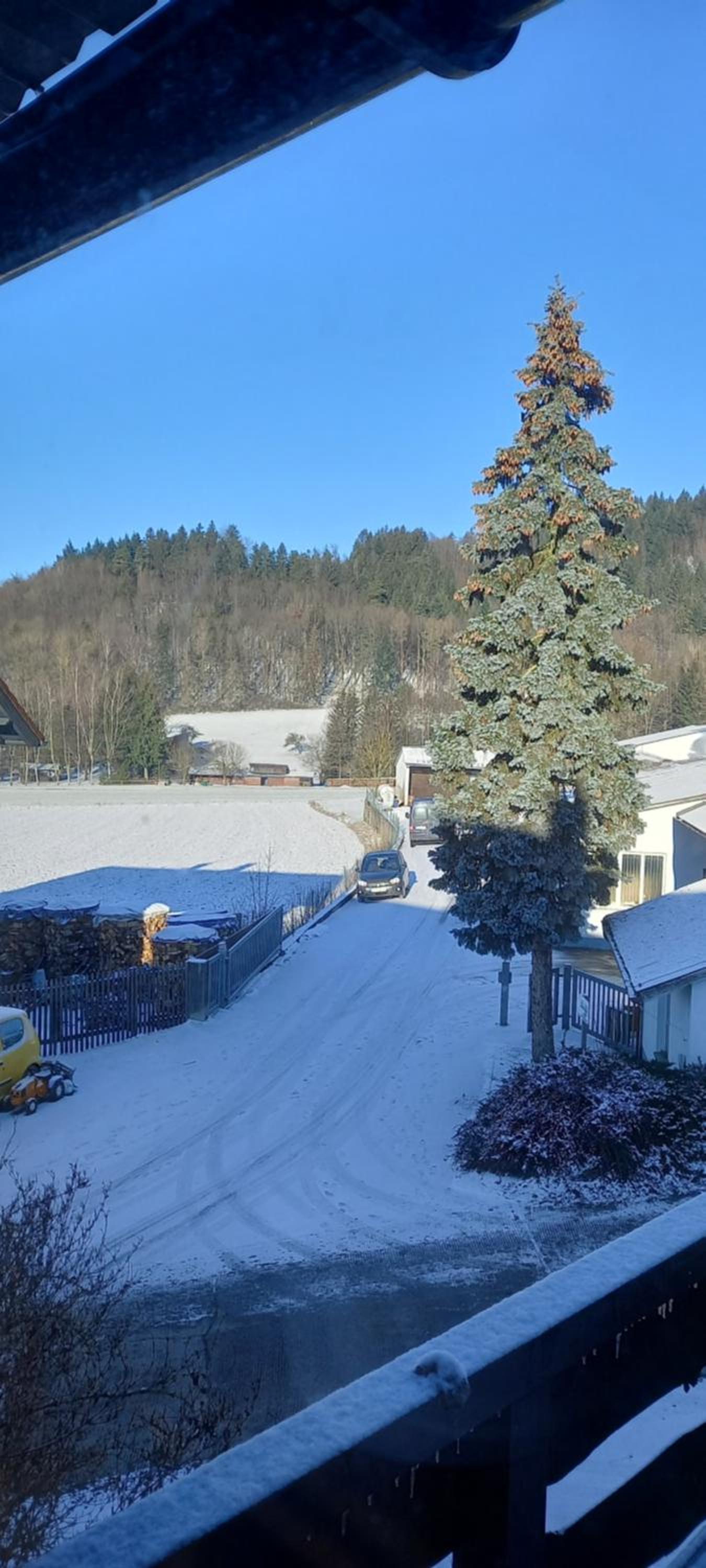 Haus Waldblick