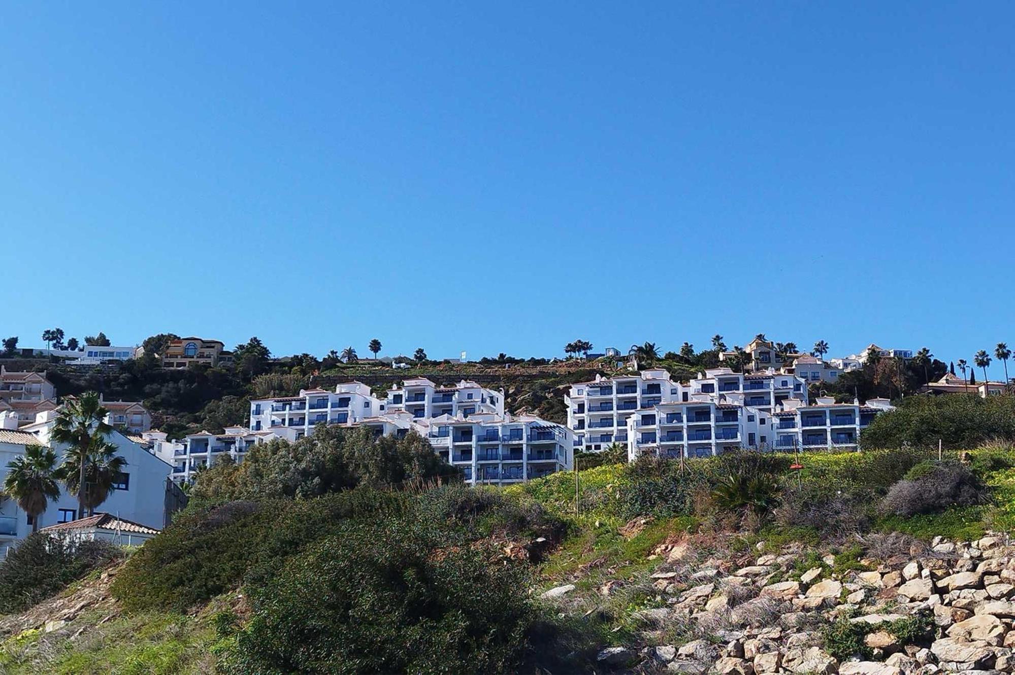 Blue Suites
