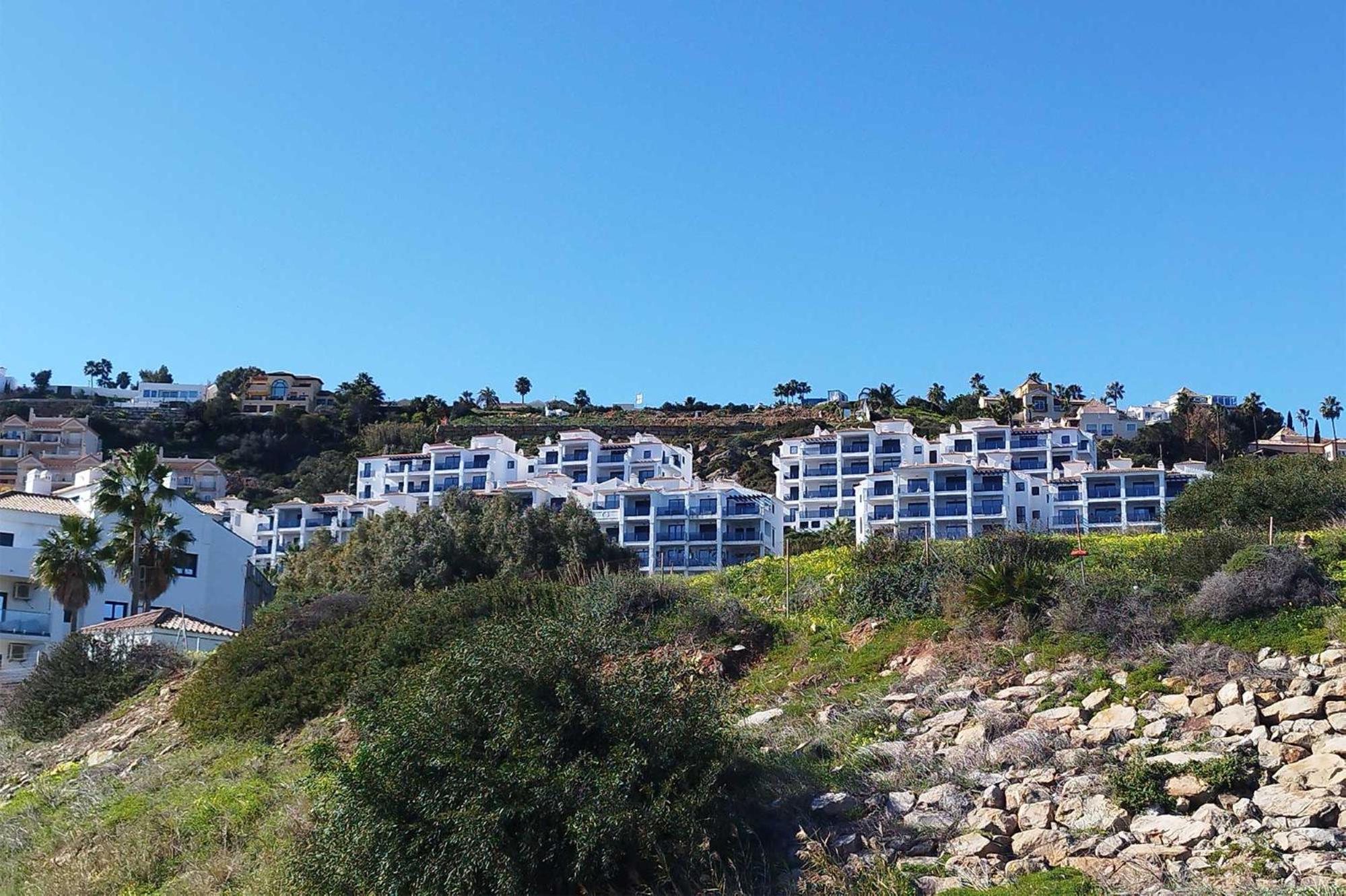 Blue Suites