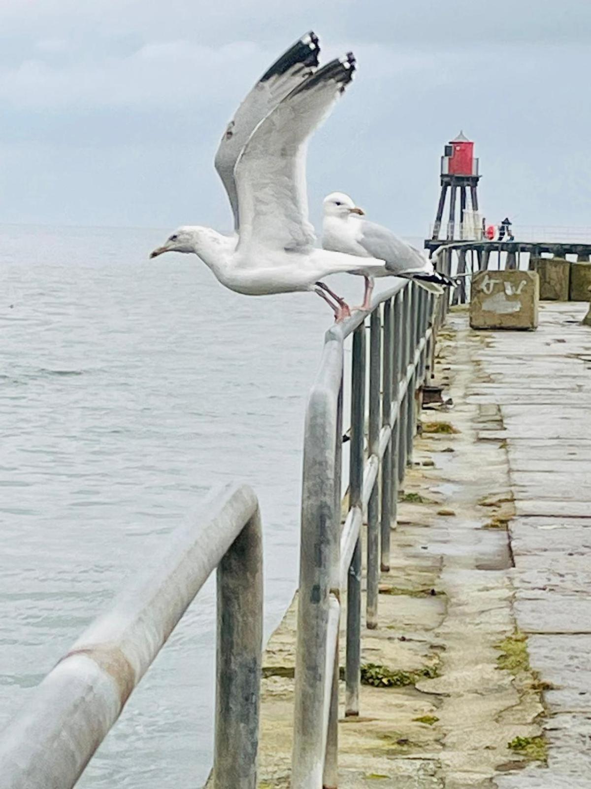 Photo 45