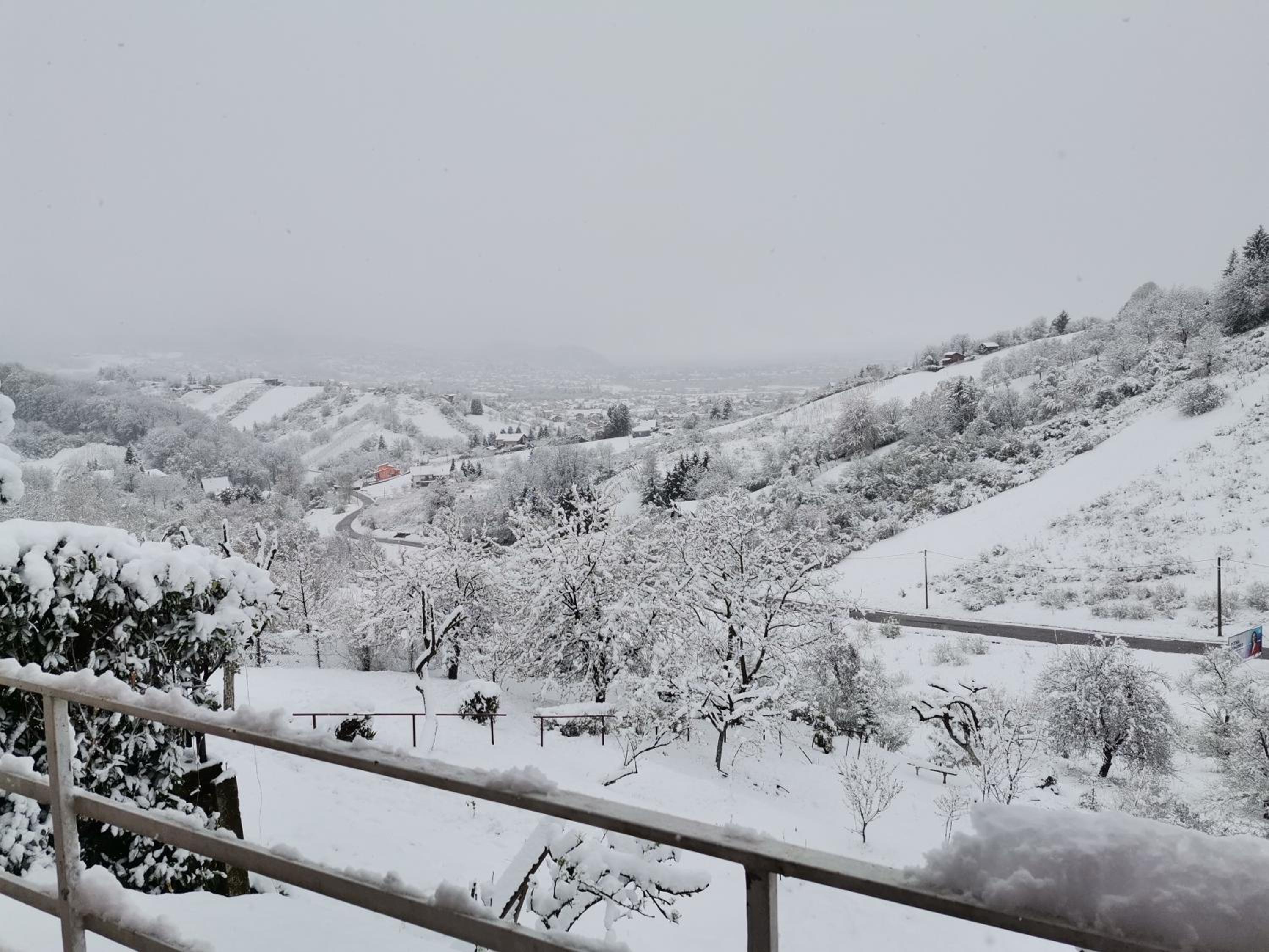 Panorama Apartman