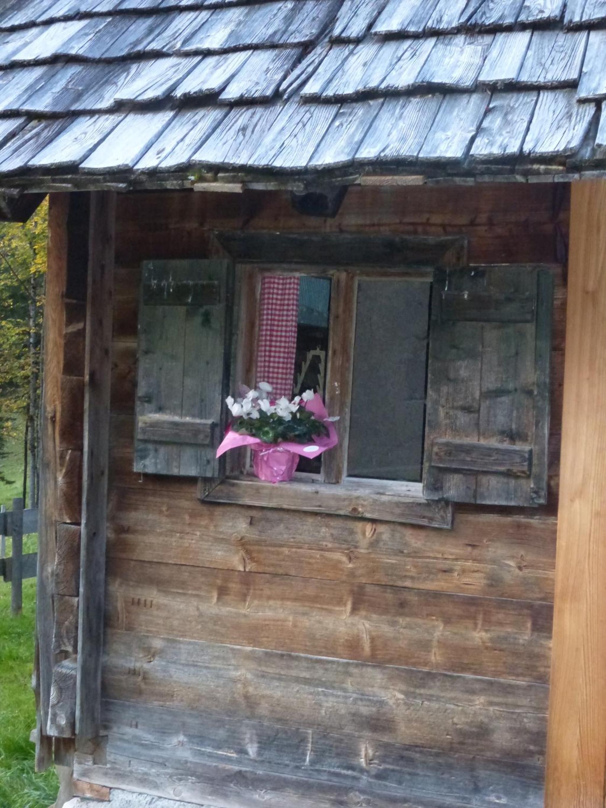 Bio-Urlaubshof Dansbach