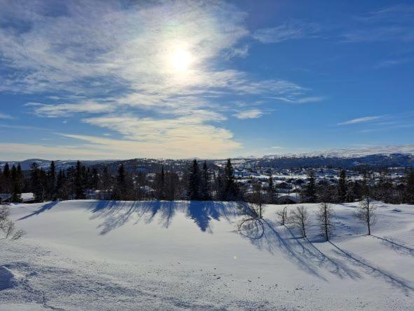 2 leiligheter med nydelig utsikt og hotell-følelse view 2