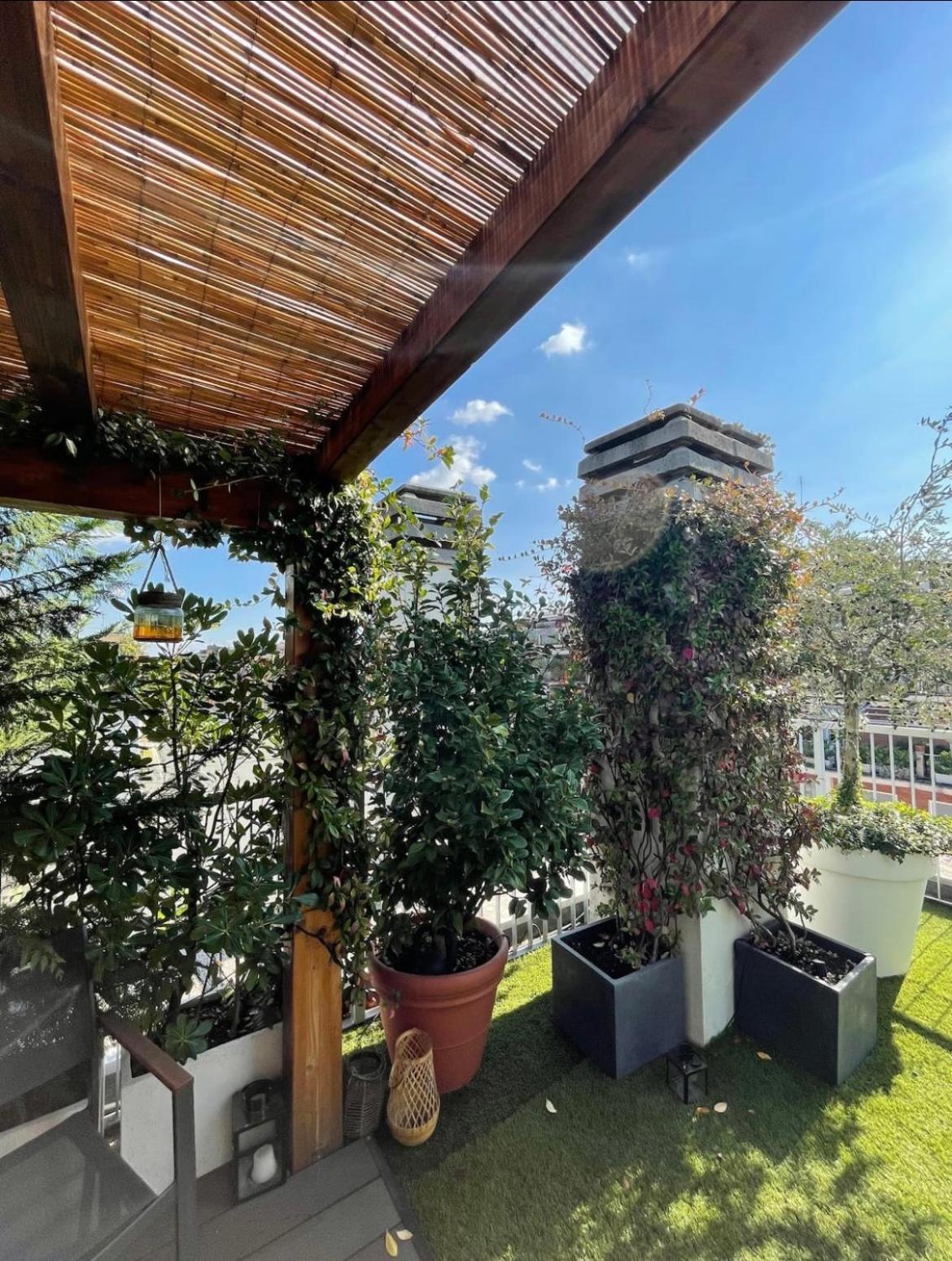 roof