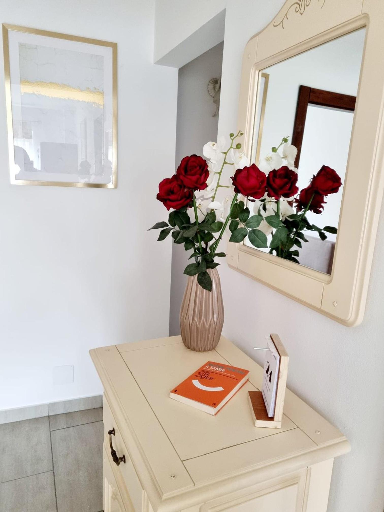 Clasic Apartment Nufarul view 2