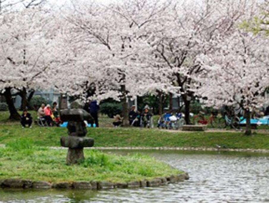 Osaka SENJU big Tatami house Max 16ppl direct to KIX airport