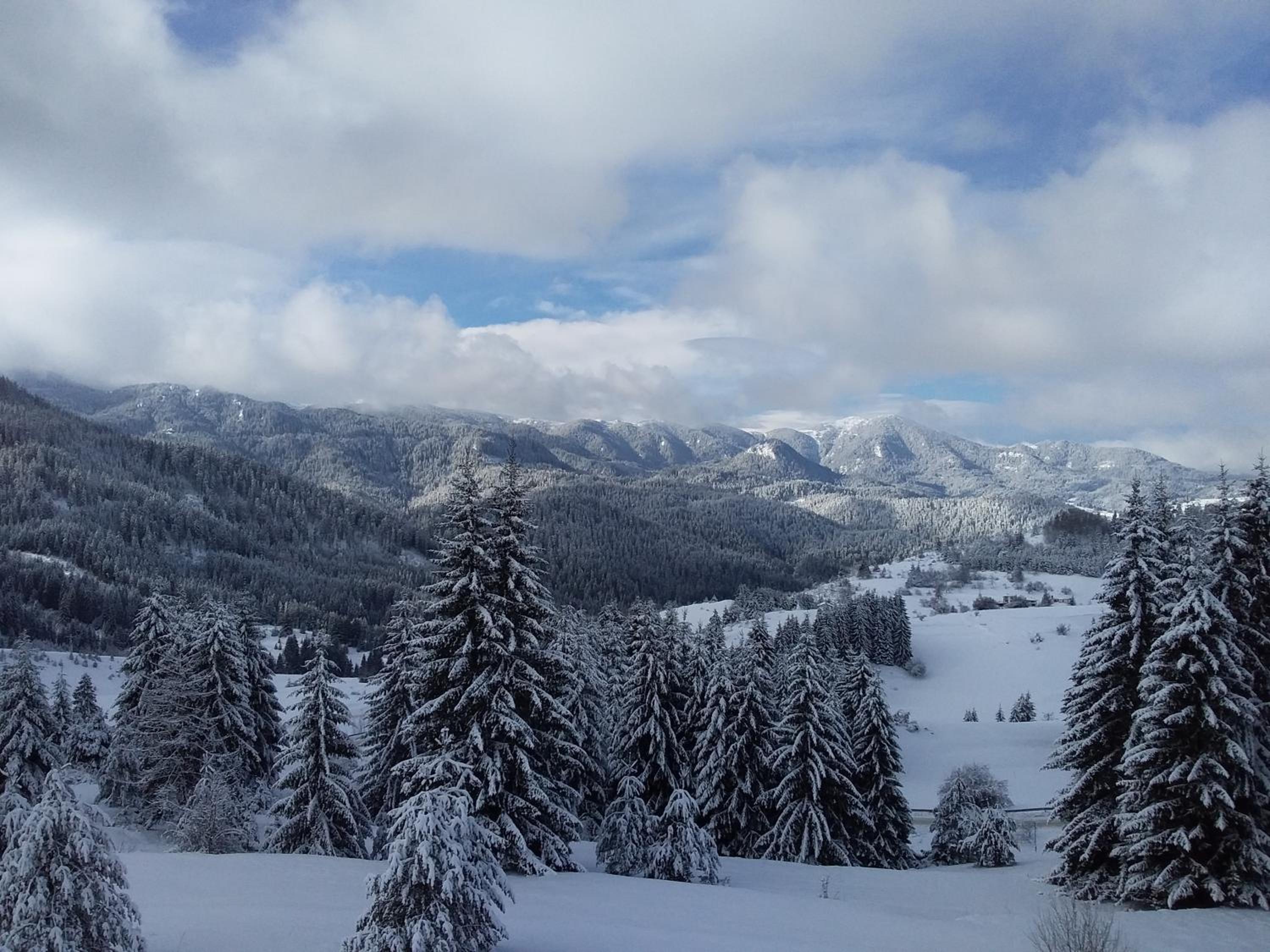 Panorama Holiday - Stoykite