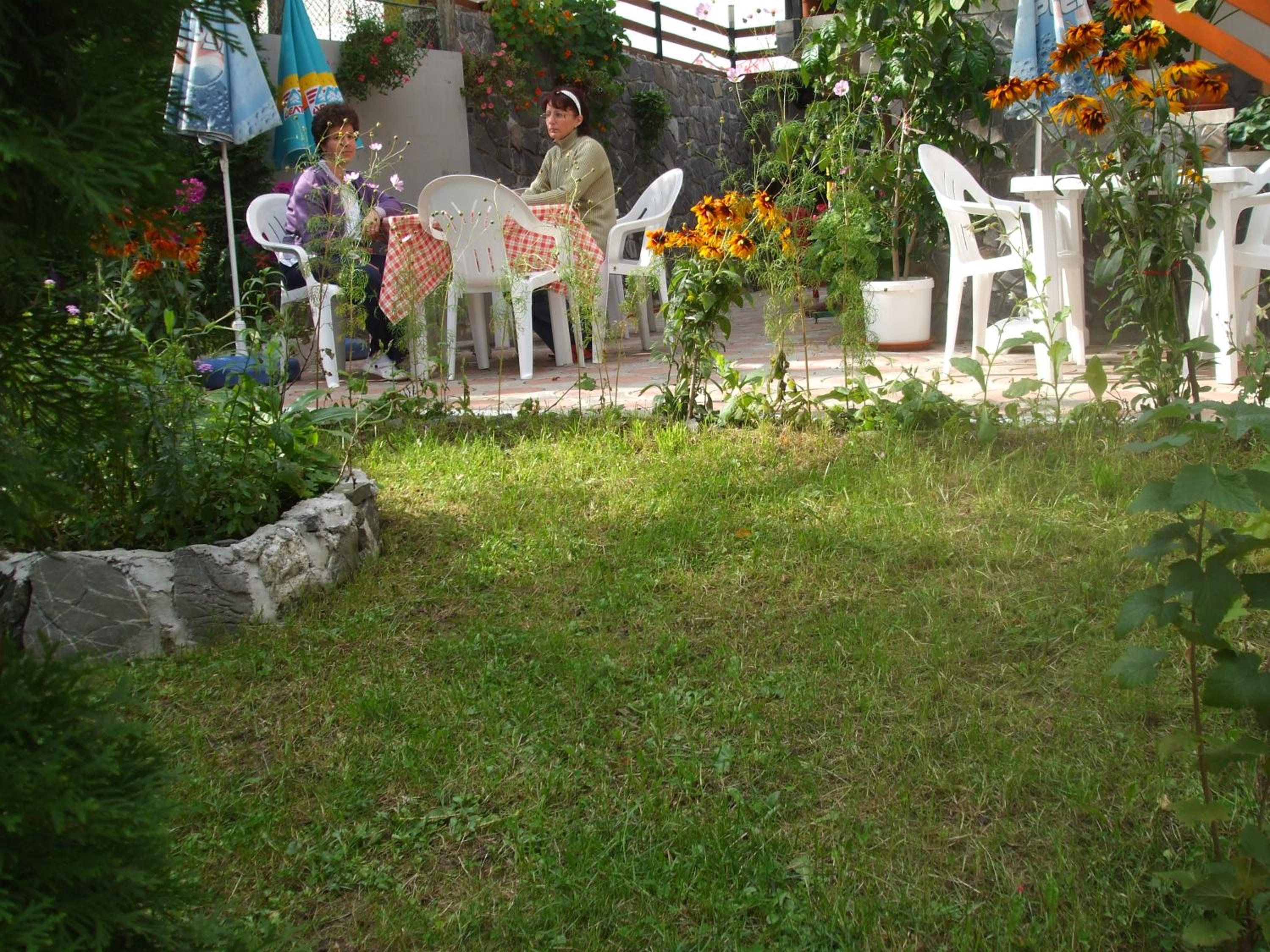 Photo 21