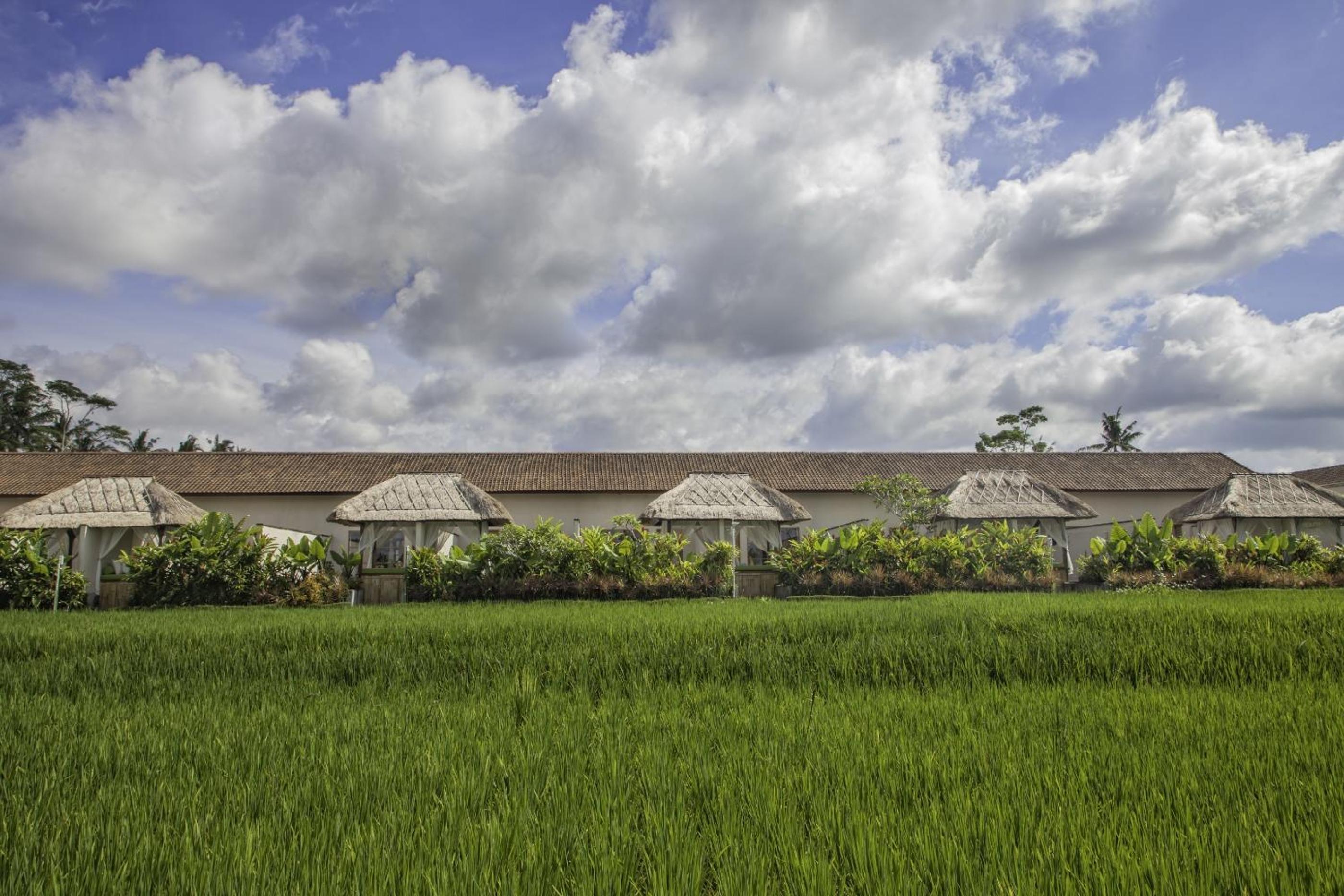 Alam Puisi Villa Ubud