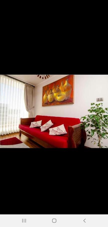 Hotel Departamento Concepción II - Image 1