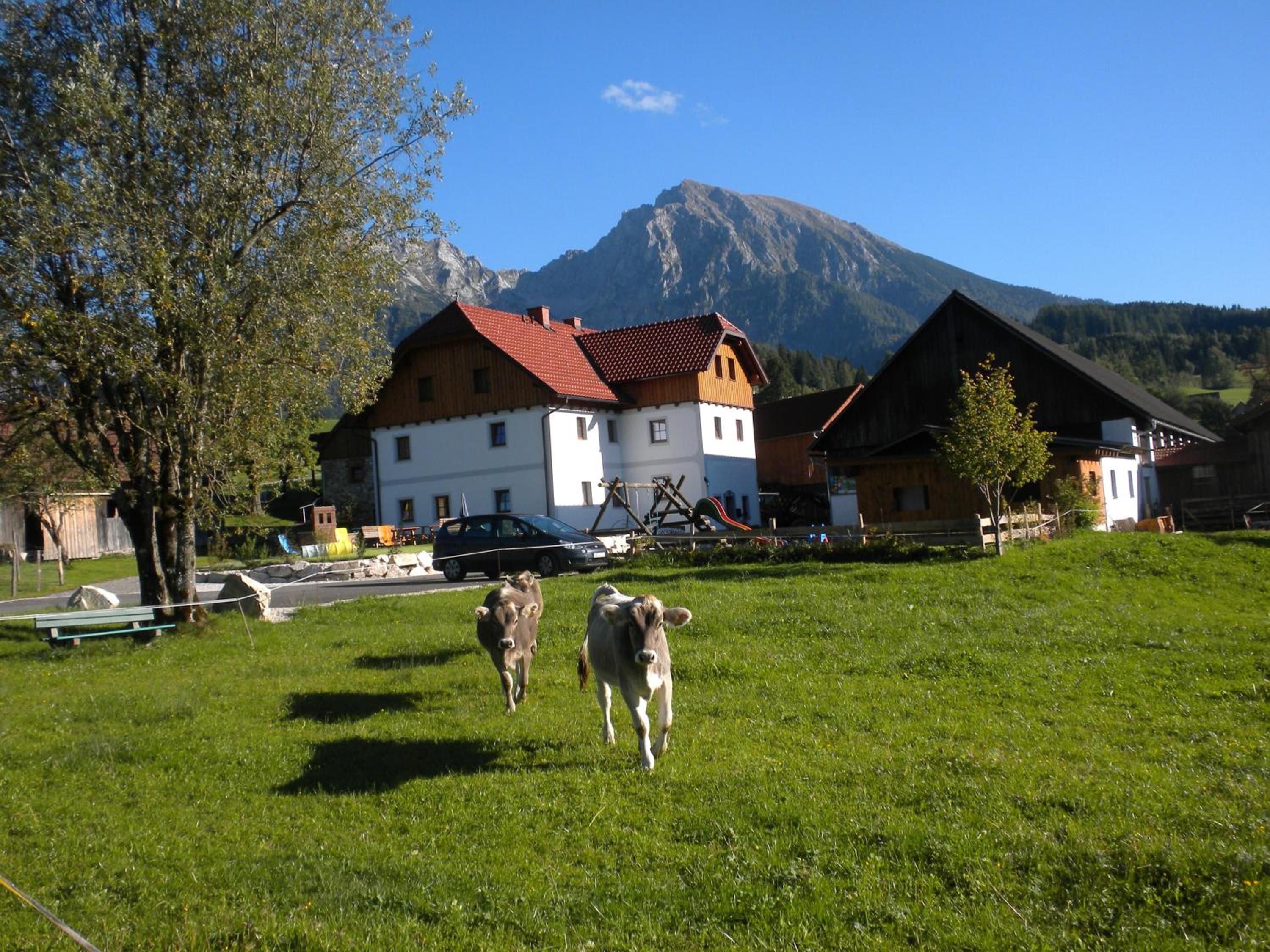 Bio-Urlaubshof Dansbach