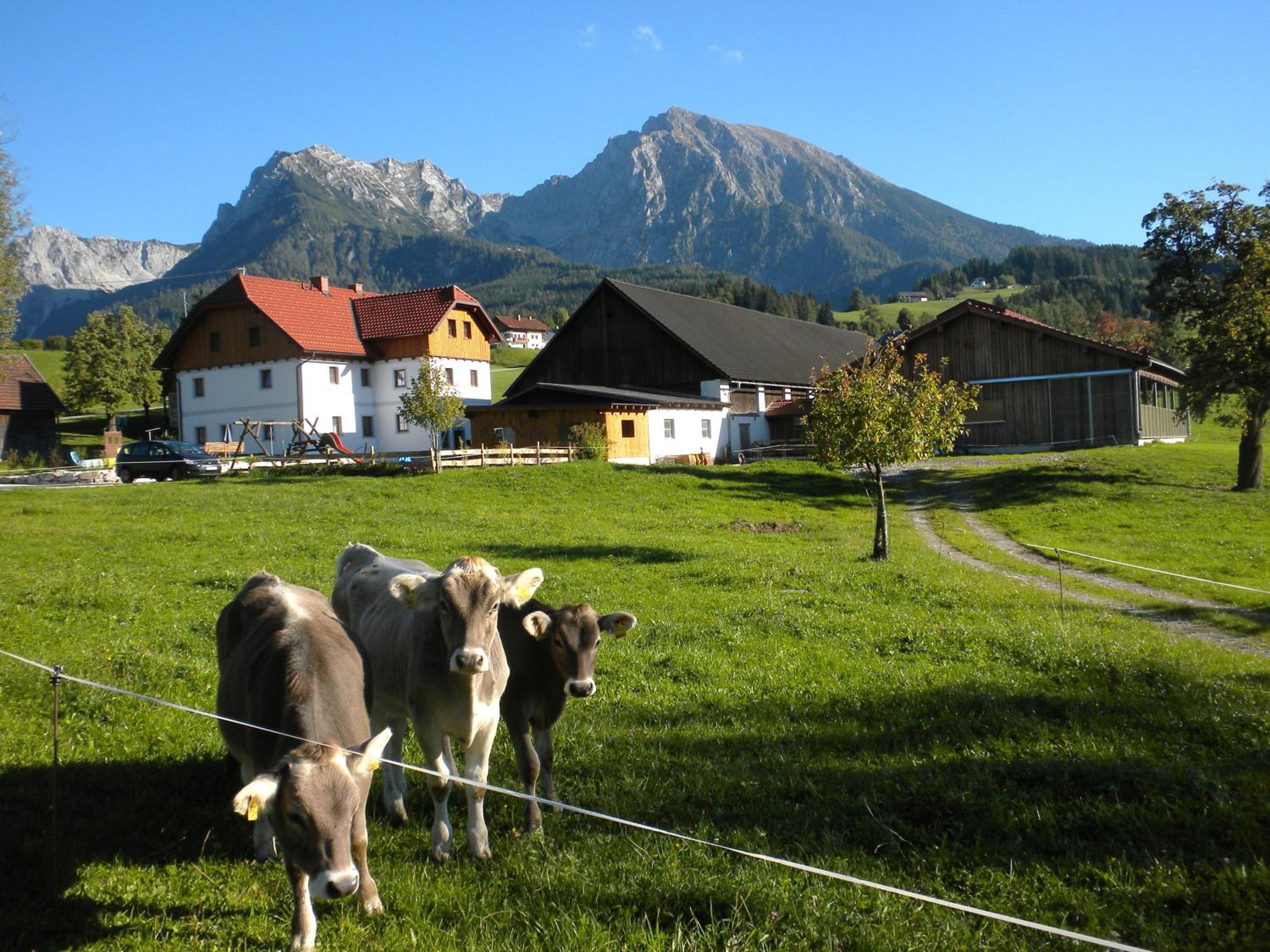 Bio-Urlaubshof Dansbach