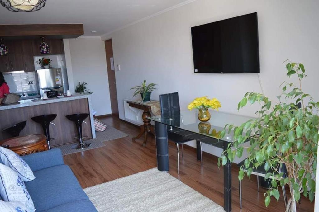 Departamento Concepción III