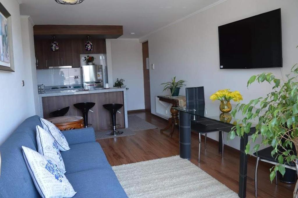 Departamento Concepción III