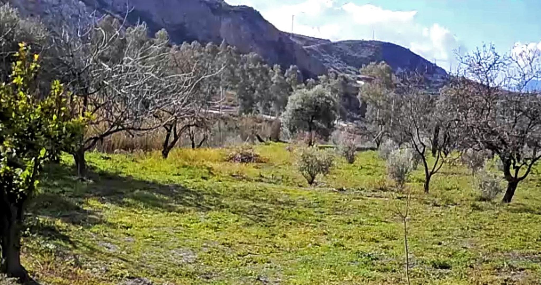 Cortijo AguaChá