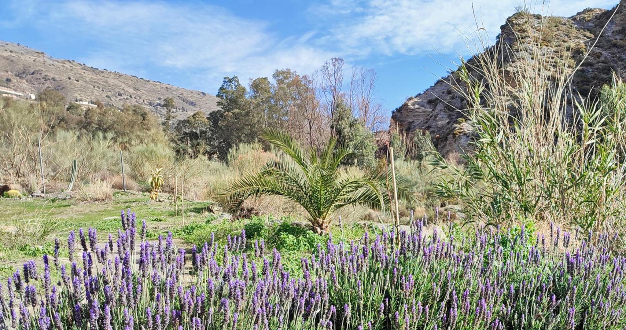 Cortijo AguaChá