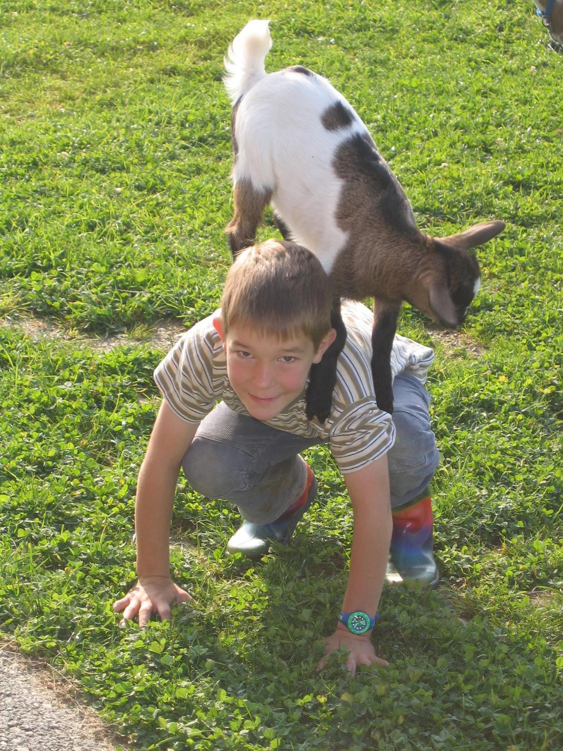 Photo 40