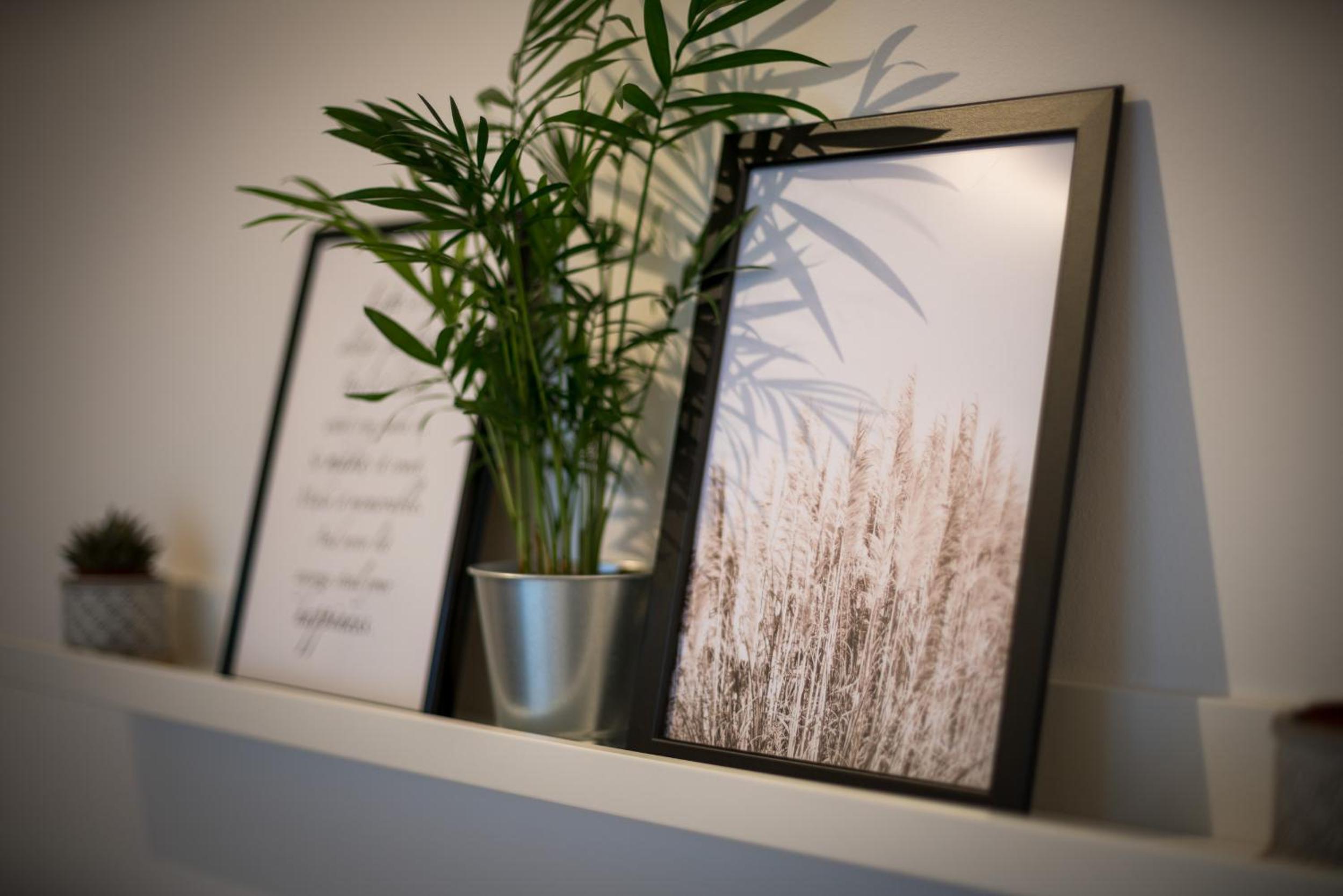 Liberty Home Platinum - Apartments