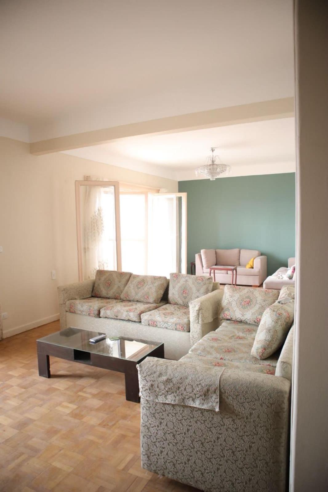 Nile view apartment