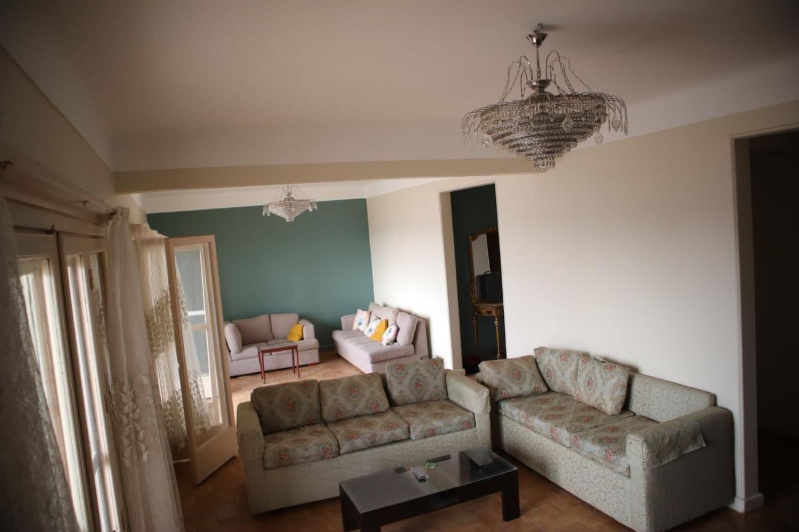 Nile view apartment