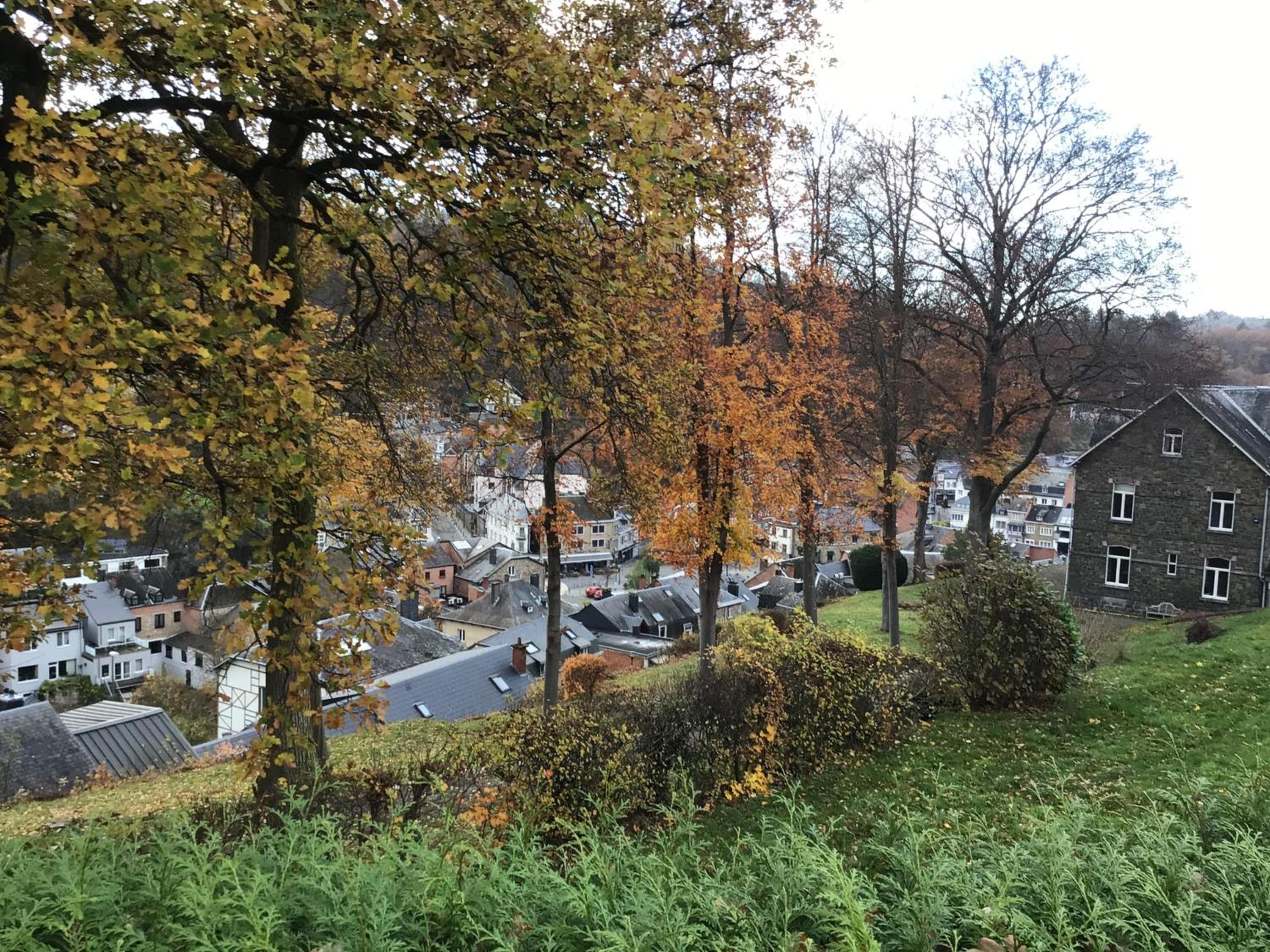 La colline aux hirondelles