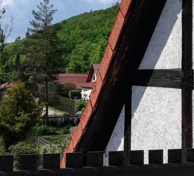 Ferienwohnung Natur pur Mühlental Wernigerode