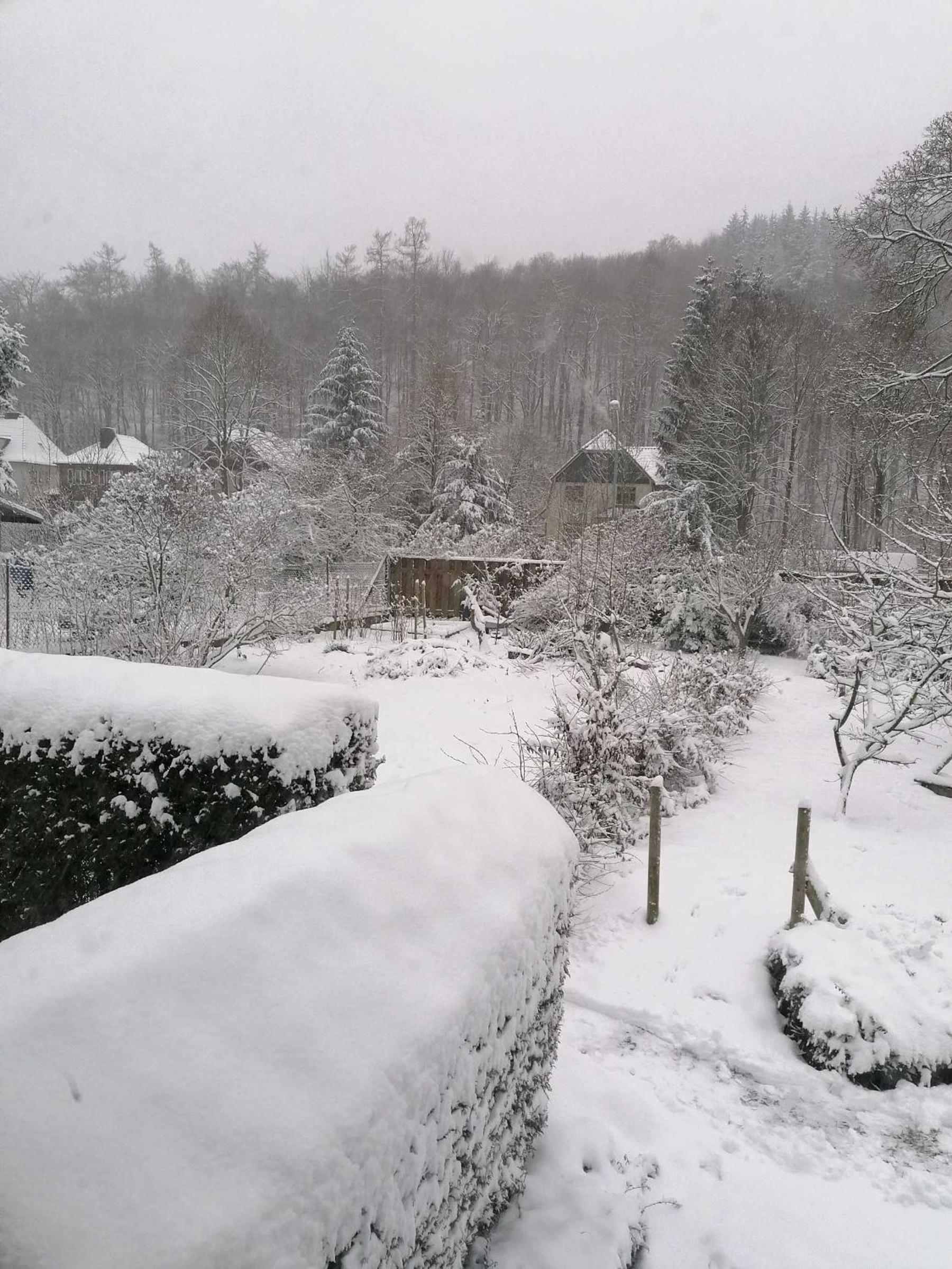 Ferienwohnung Natur pur Mühlental Wernigerode