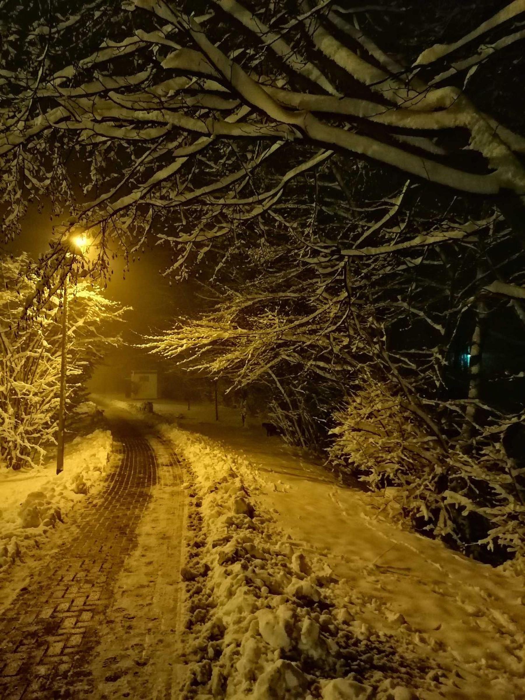 Ferienwohnung Natur pur Mühlental Wernigerode