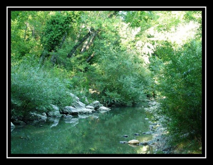 Photo 36