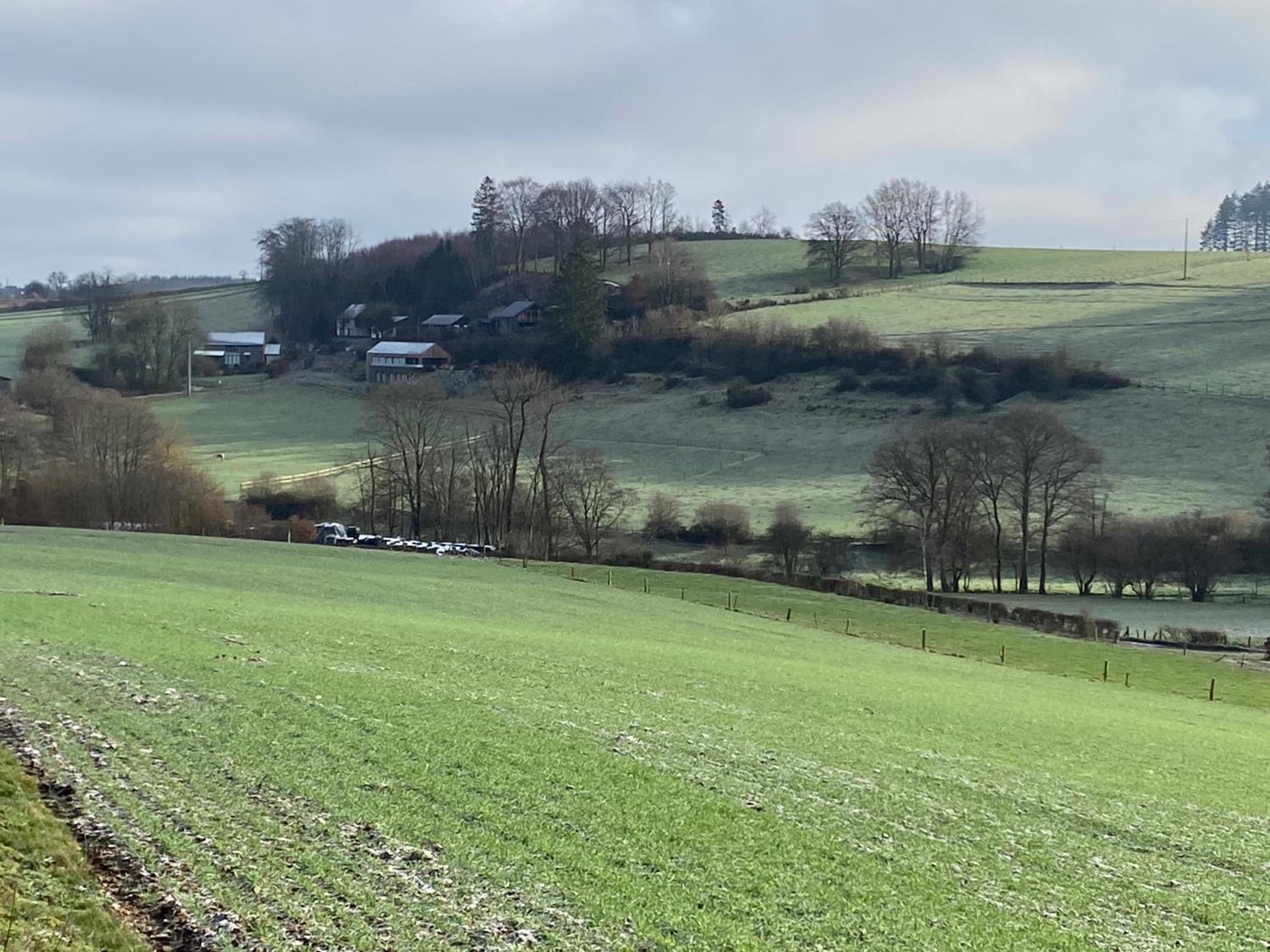 La colline aux hirondelles