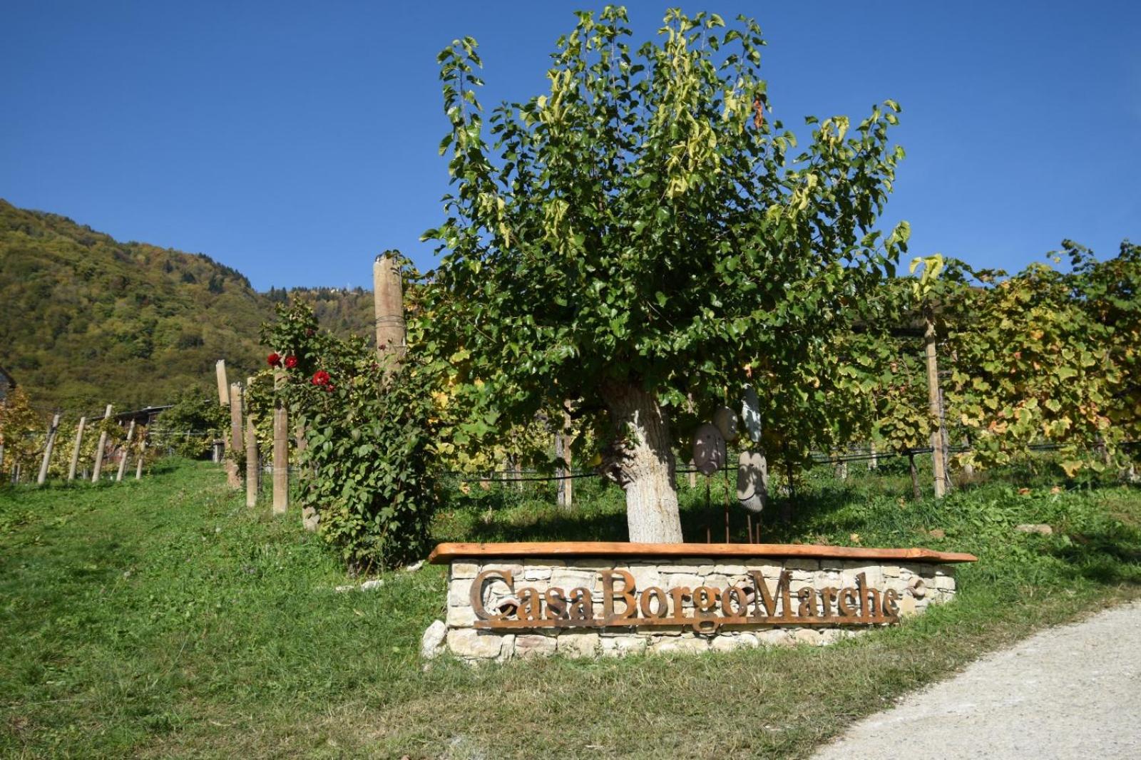 Agriturismo Casaborgomarche