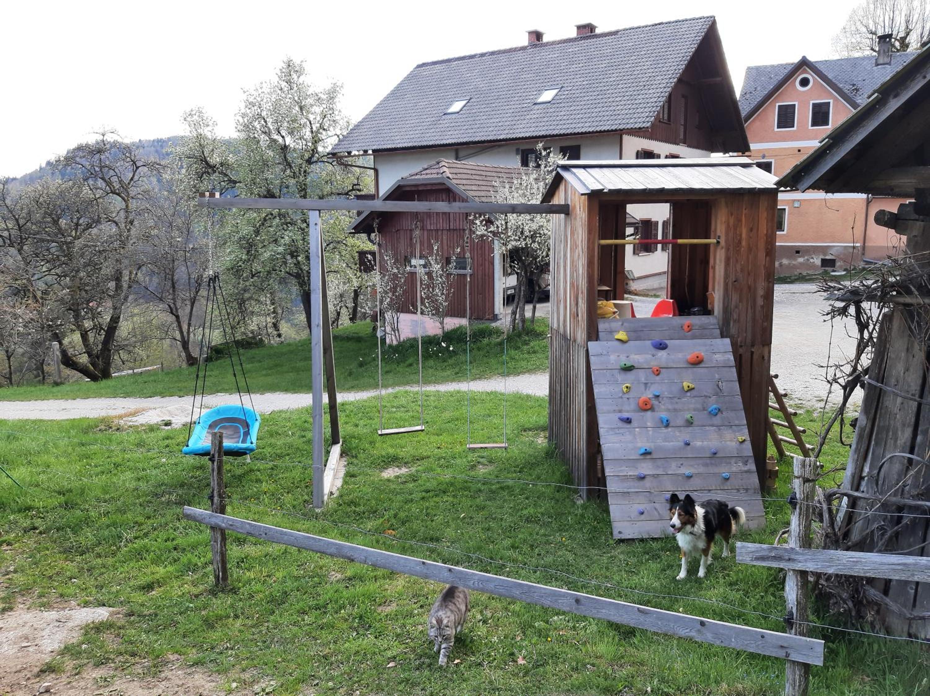 Photo 29