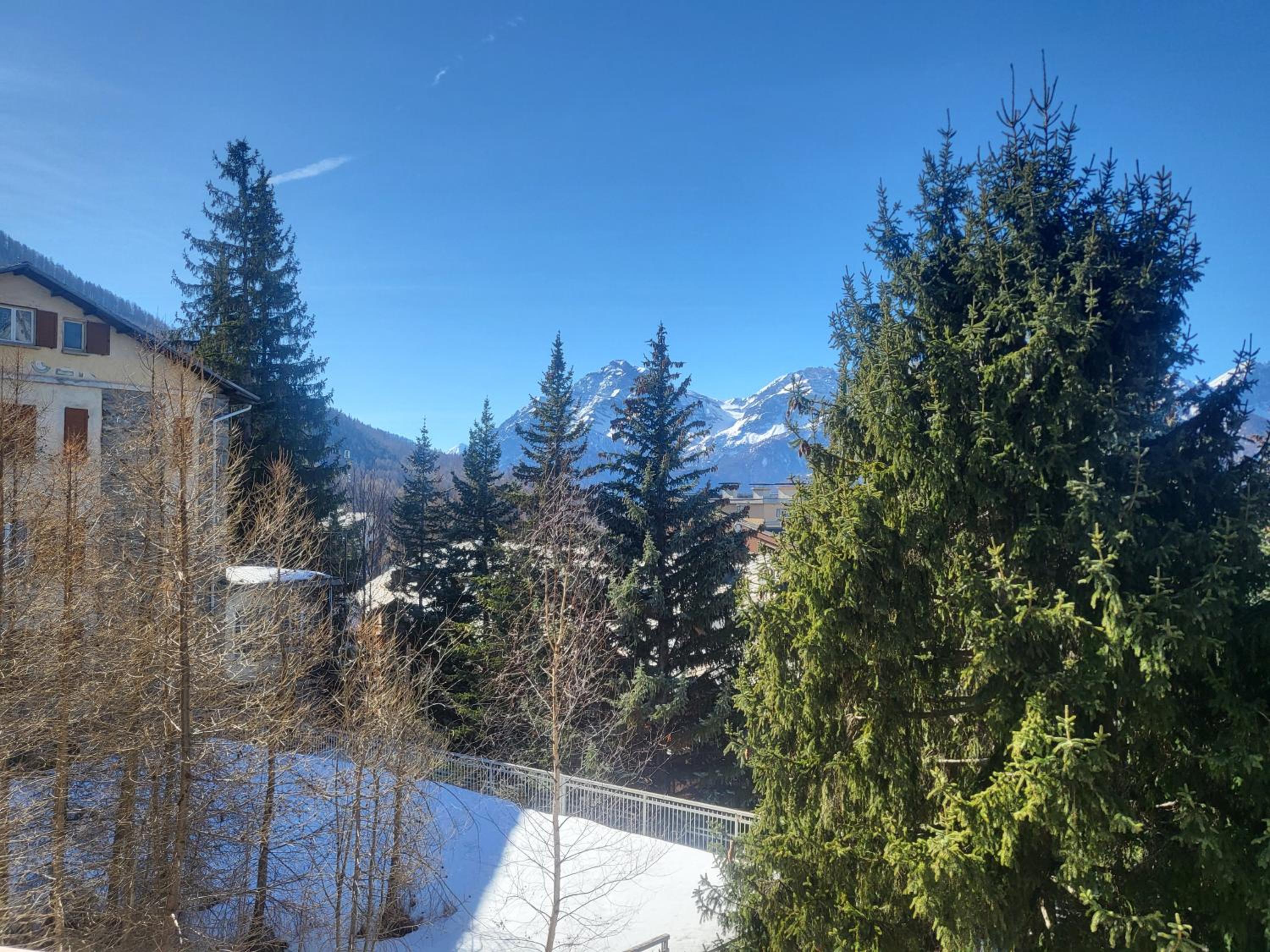 Alloggio "Pineta" sulle piste di clotex view 5